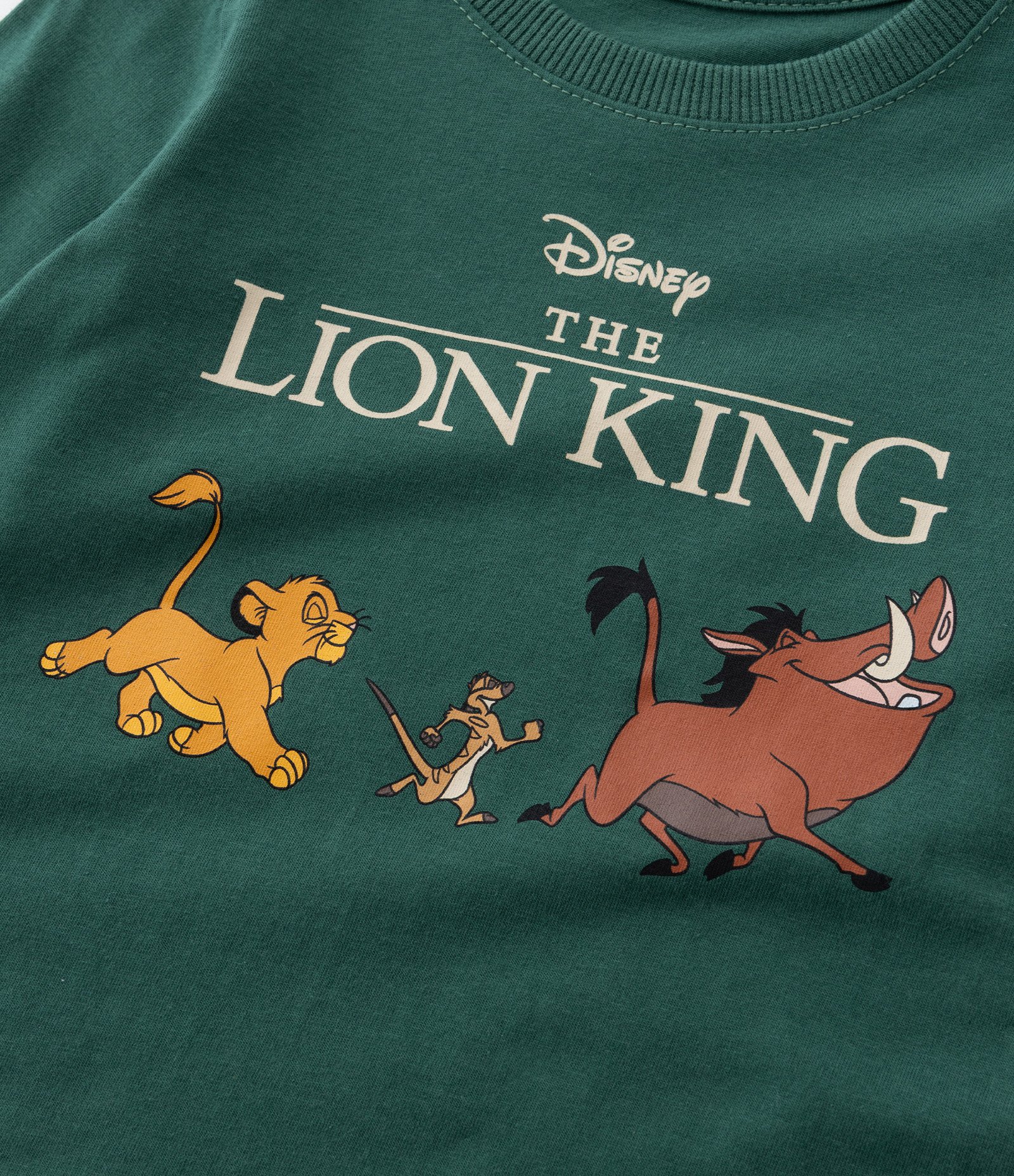 Camiseta Infantil com Estampa Rei Leão - Tam 1 a 6 Anos Verde 5