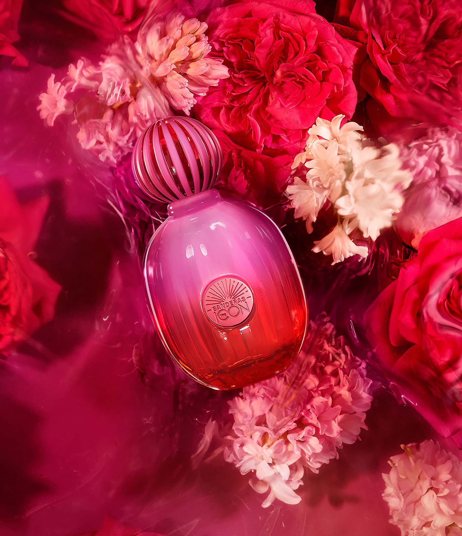 Antonio Banderas The Icon Supreme Eau de Parfum Intense Feminino 50ml 3