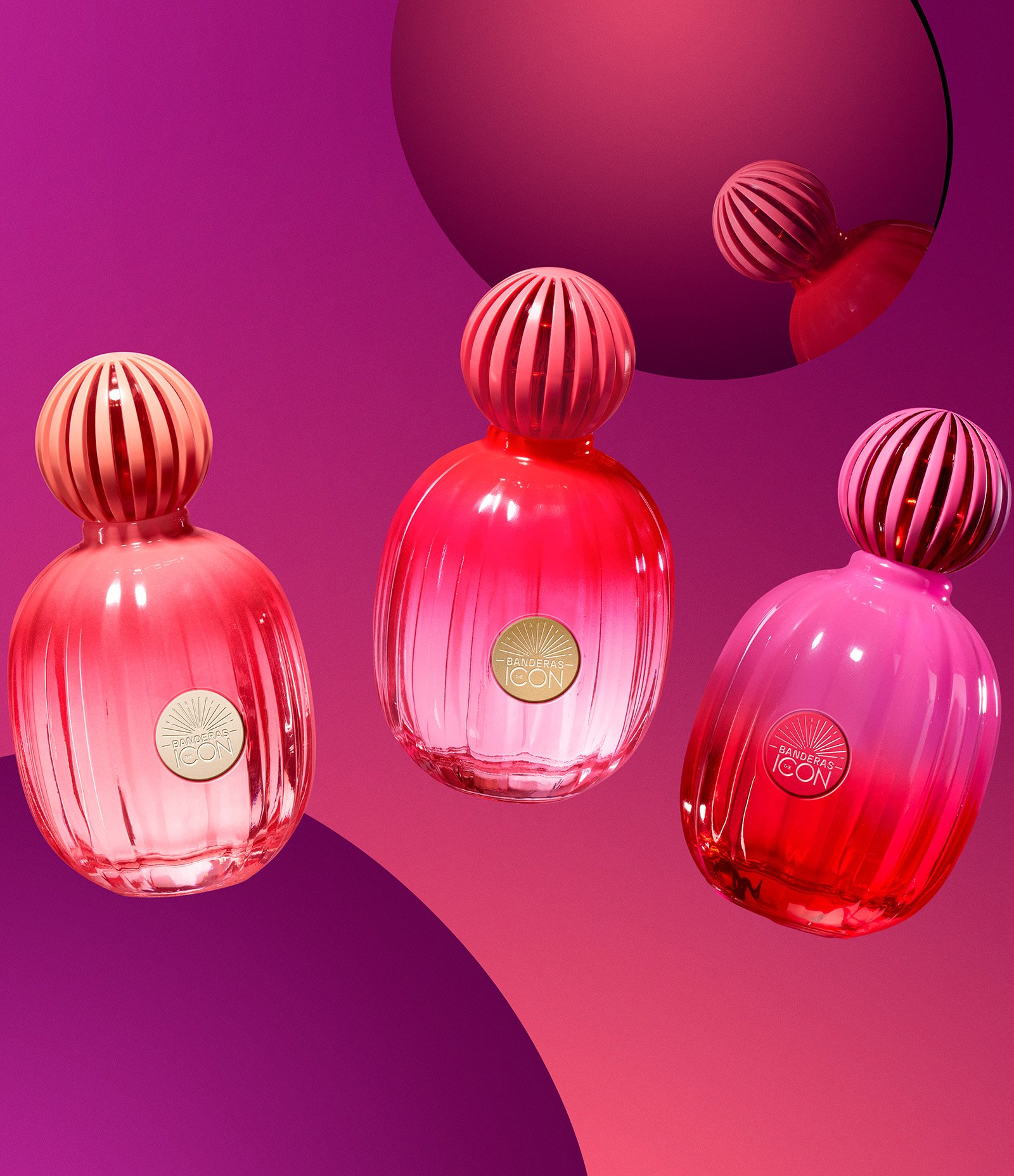 Antonio Banderas The Icon Supreme Eau de Parfum Intense Feminino 50ml 5