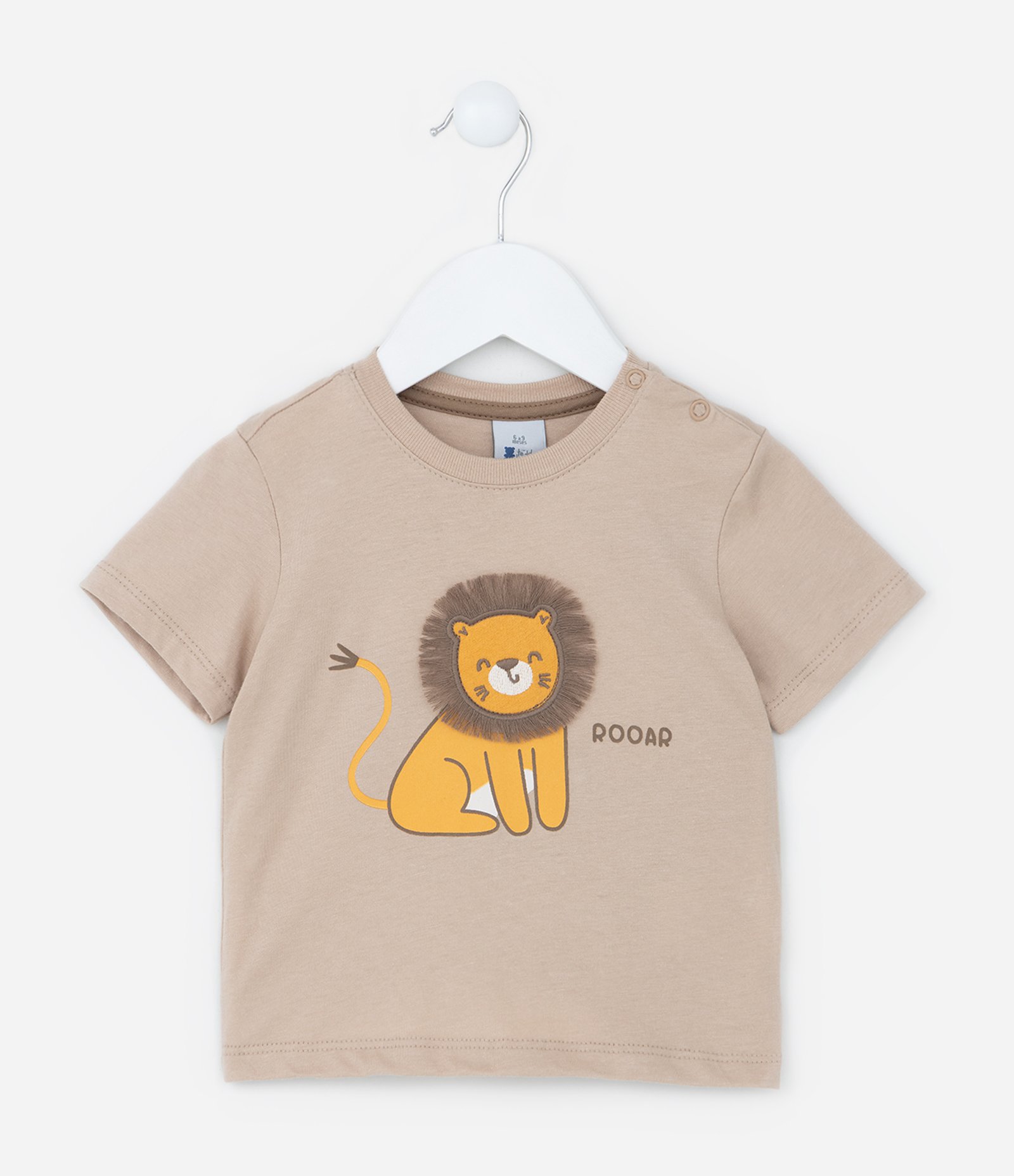 Conjunto Infantil com Estampa Leãozinho - Tam 0 a 18 meses Marrom 2