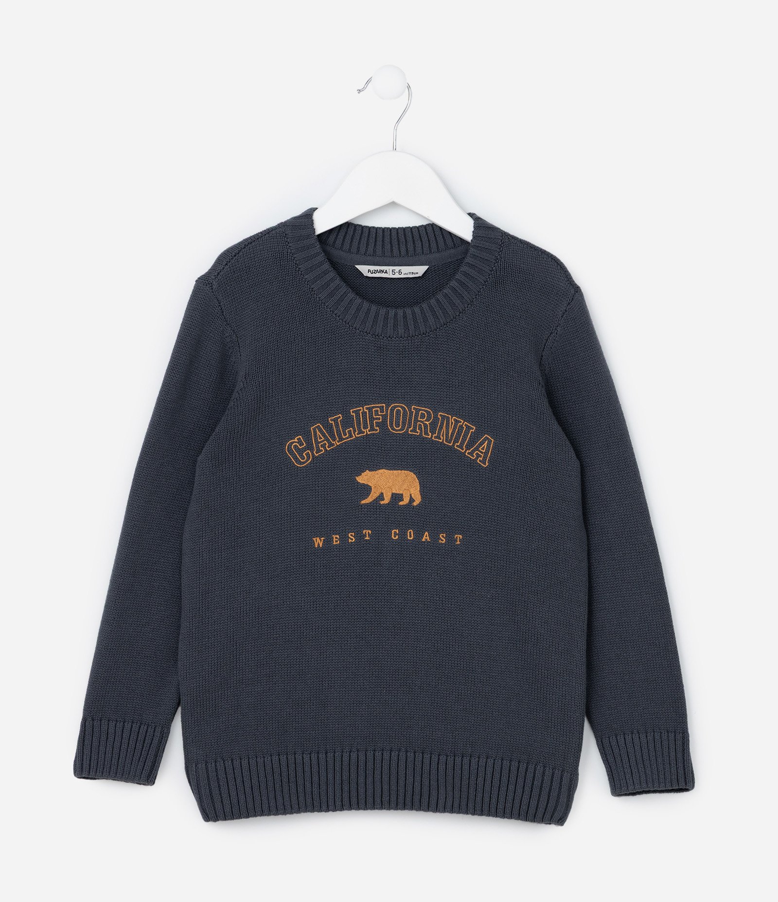 Suéter Infantil em Tricô com Estampa Urso Califórnia - Tam 5 a 14 Anos Azul 1