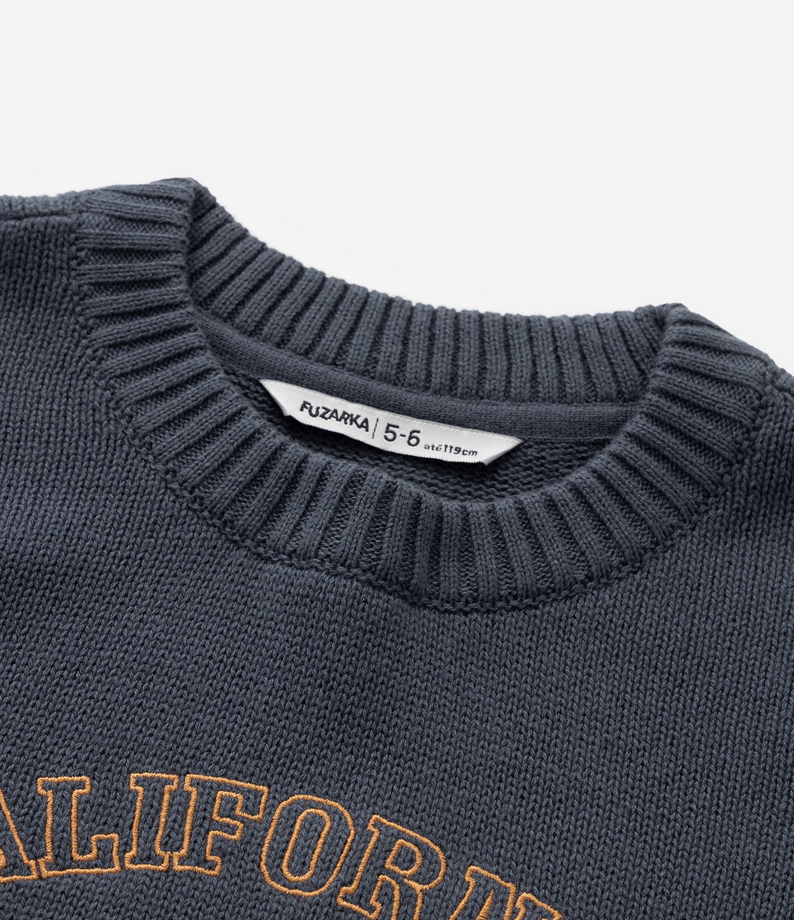 Suéter Infantil em Tricô com Estampa Urso Califórnia - Tam 5 a 14 Anos Azul 5