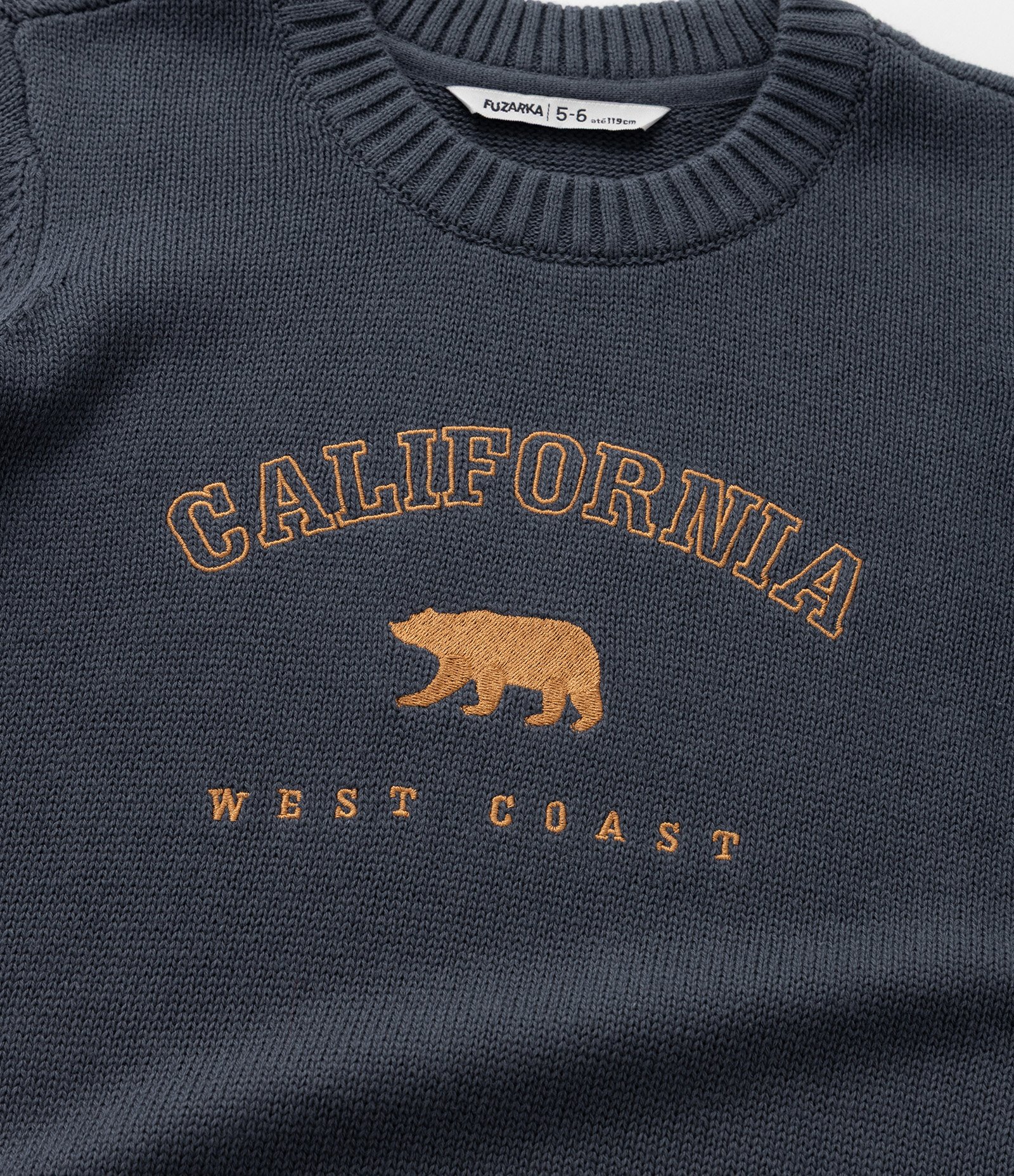 Suéter Infantil em Tricô com Estampa Urso Califórnia - Tam 5 a 14 Anos Azul 6