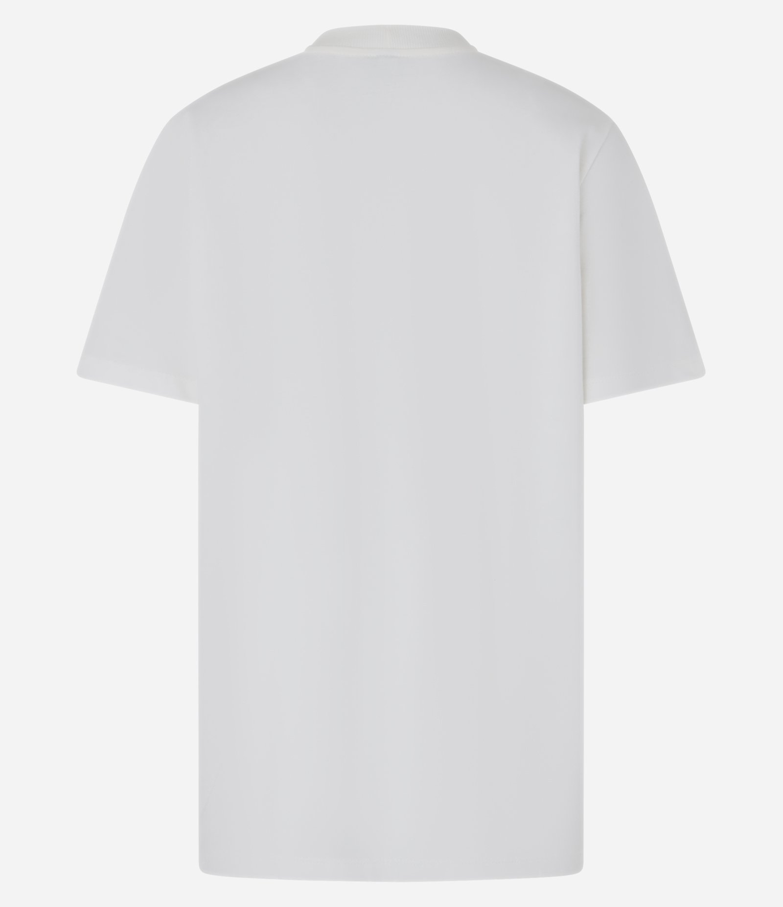 Camiseta T-shirt em Algodão com Estampa Naturaleza Branco 5