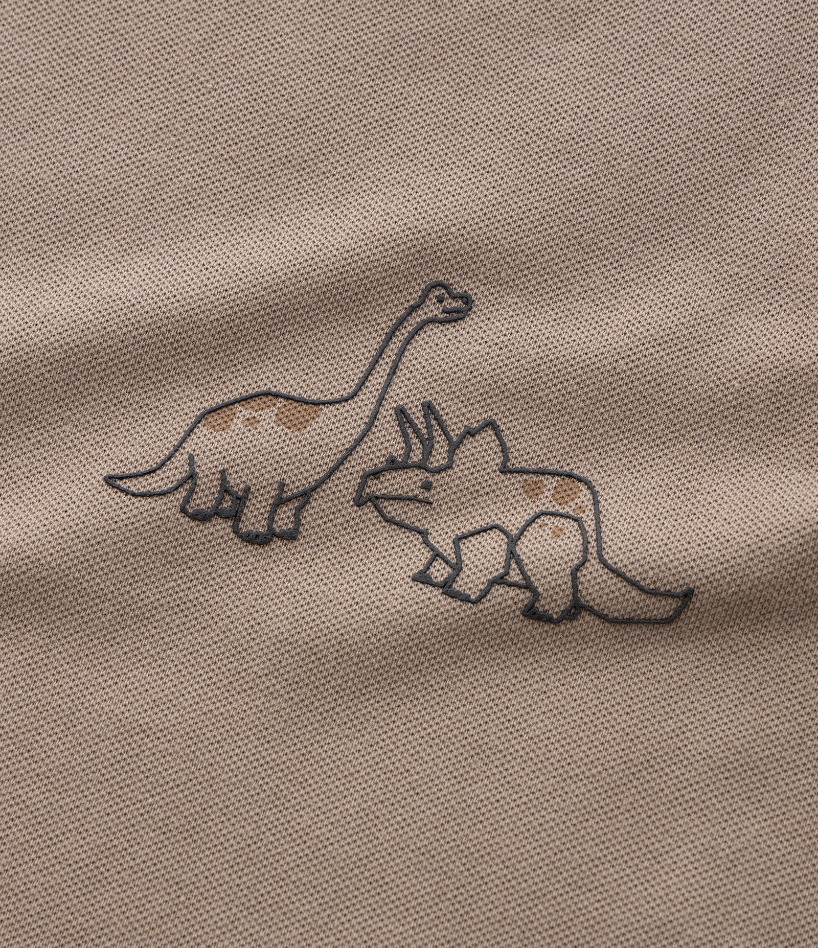 Camiseta Infantil com Estampa de Dinos - Tam 1 a 6 Anos Marrom 5