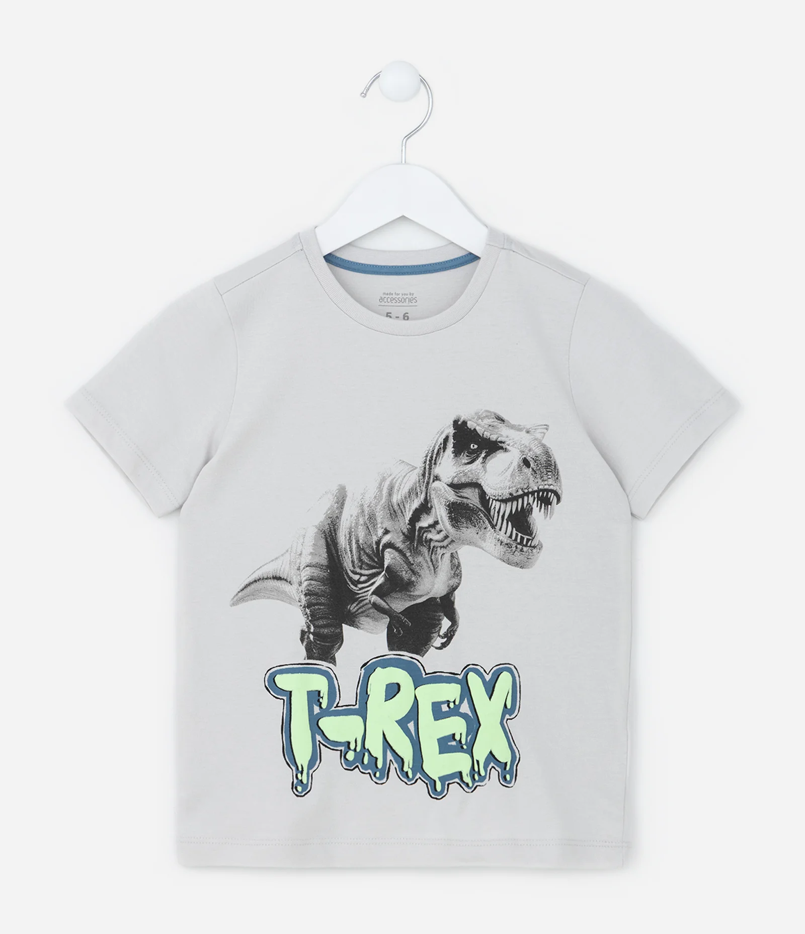 Pijama Infantil com Estampa Dino T-Rex - Tam  6 a 14 Anos Cinza/Azul 2