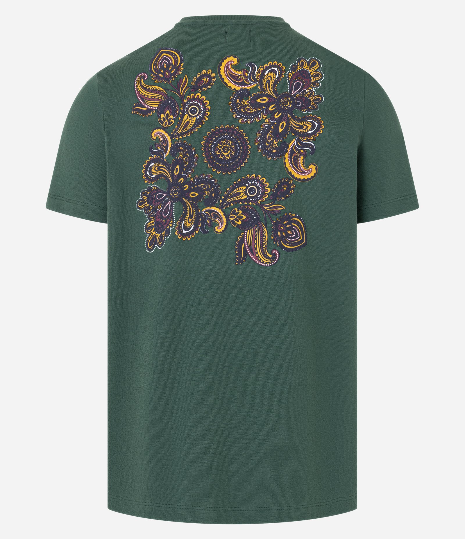 Camiseta em Algodão com Estampa Frente e Costas Paisley Verde 7