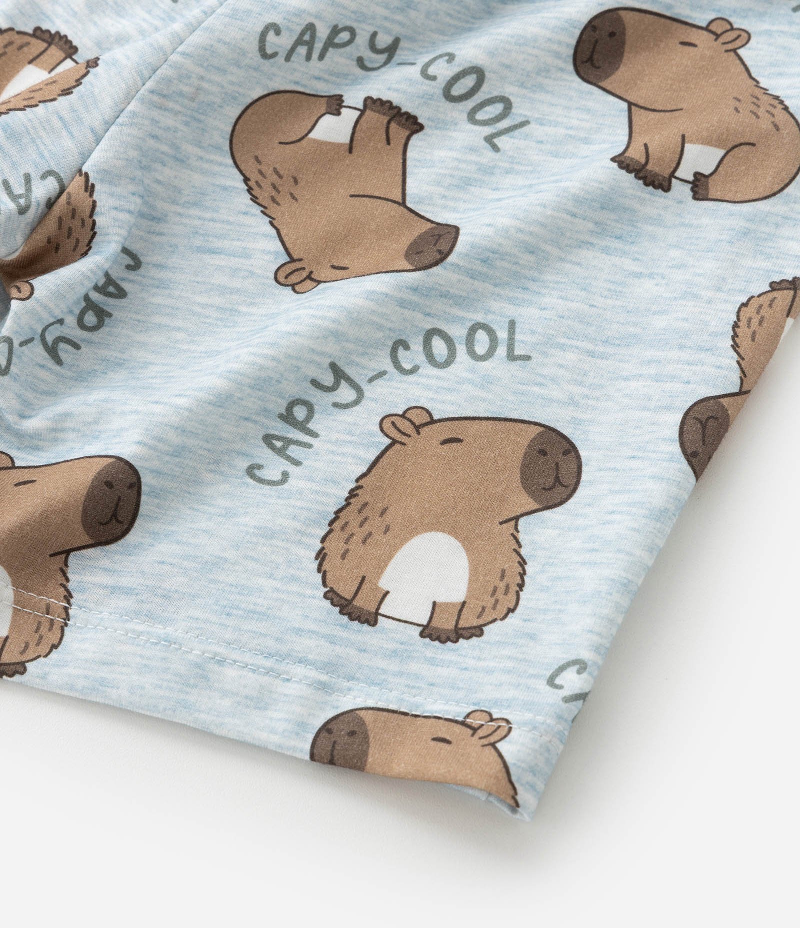 Pijama Infantil com Estampa de Capivara - Tam 2 a 6 Anos Azul/Branco 9
