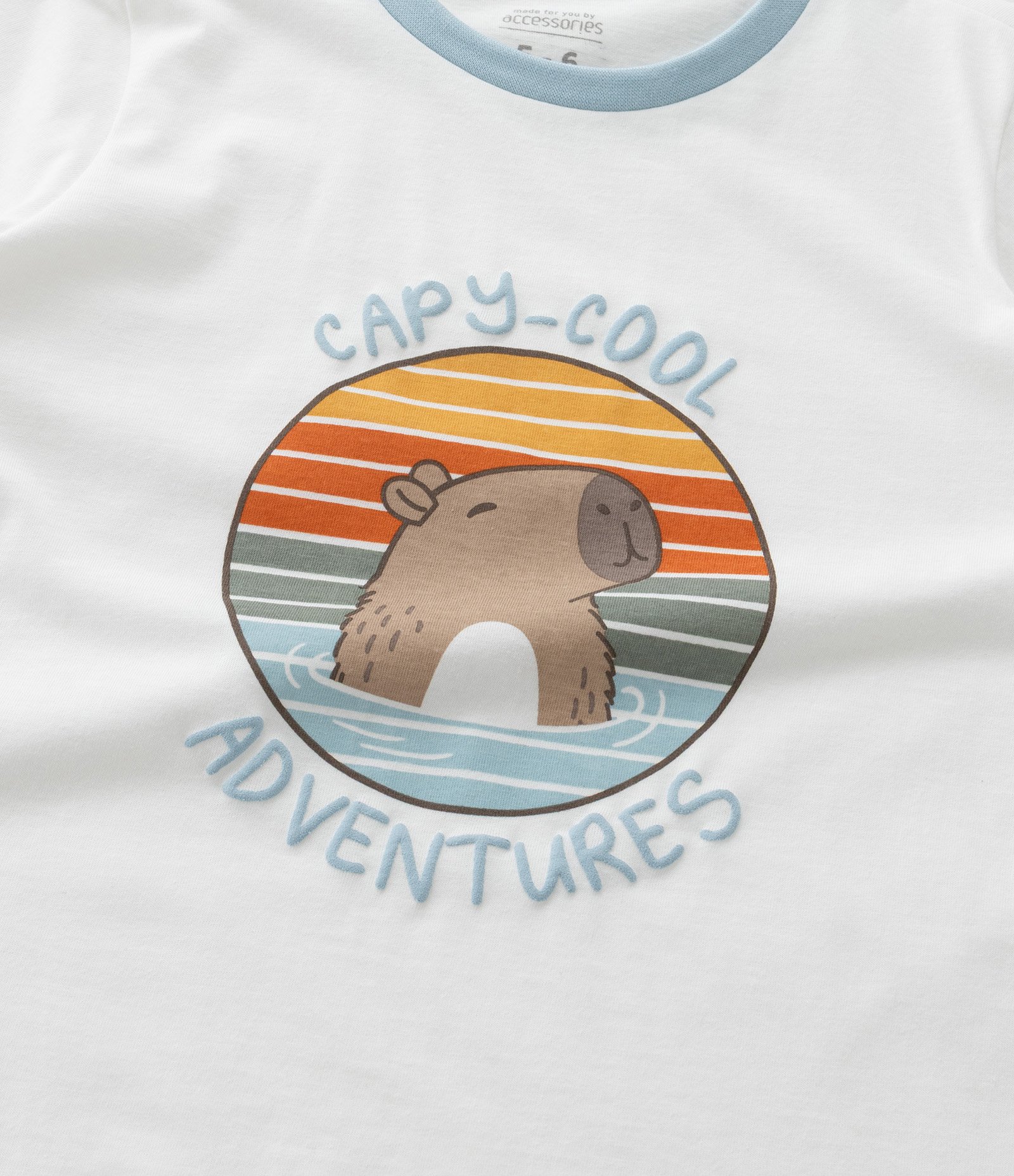Pijama Infantil com Estampa de Capivara - Tam 2 a 6 Anos Azul/Branco 10