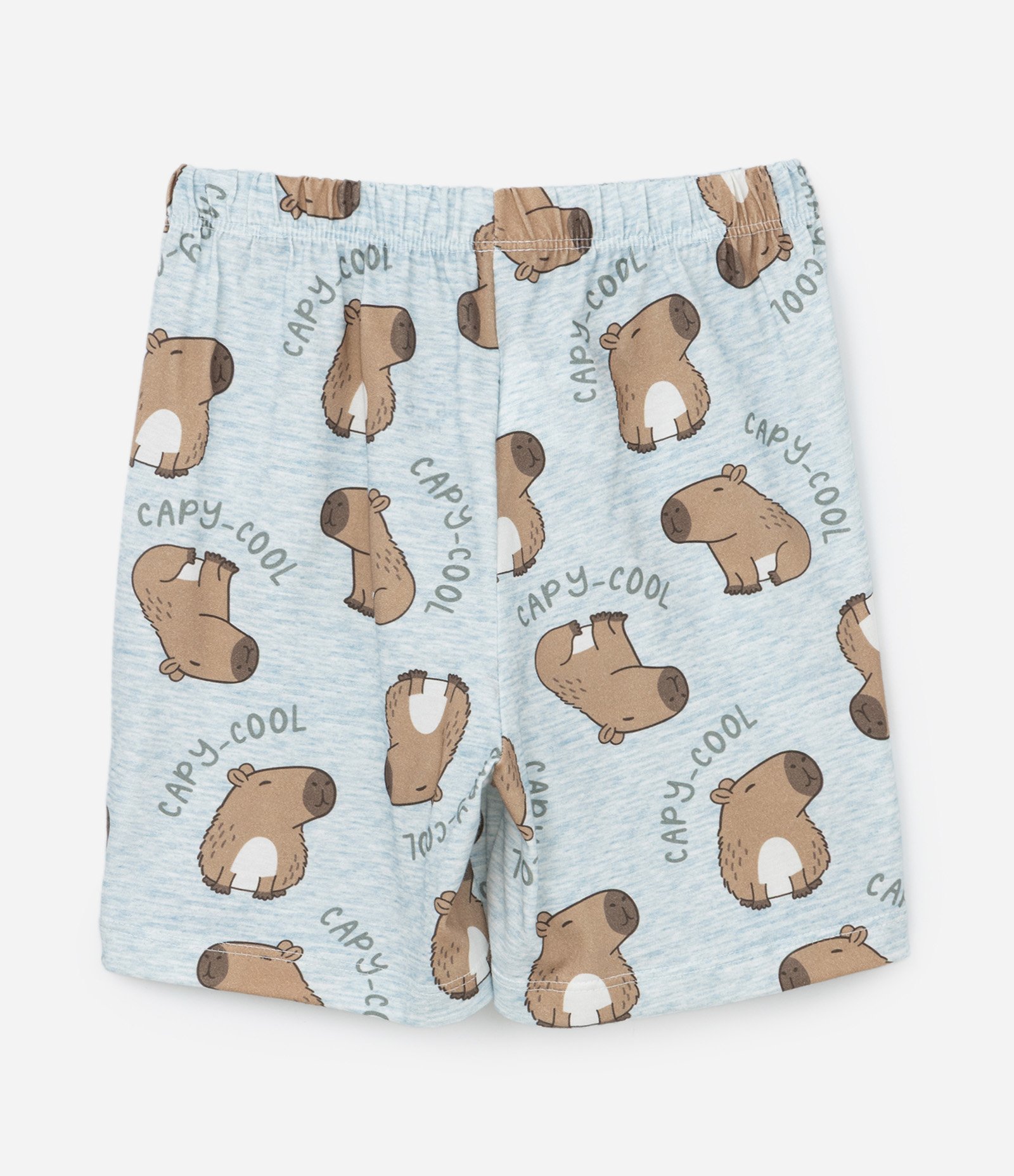 Pijama Infantil com Estampa de Capivara - Tam 2 a 6 Anos Azul/Branco 6