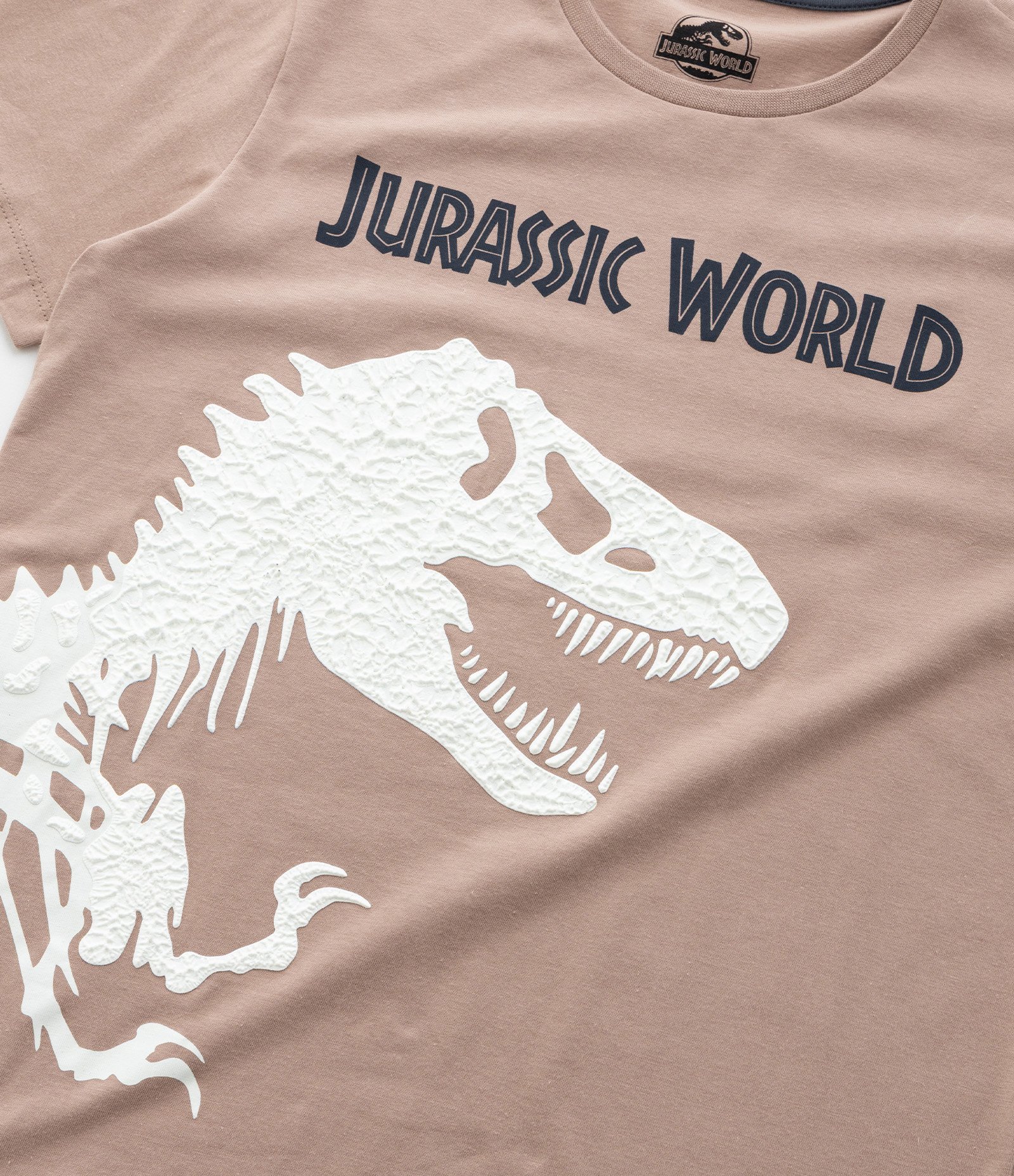 Pijama Infantil com Estampa Jurassic World - Tam 6 a 14 Anos Bege/Cinza 9