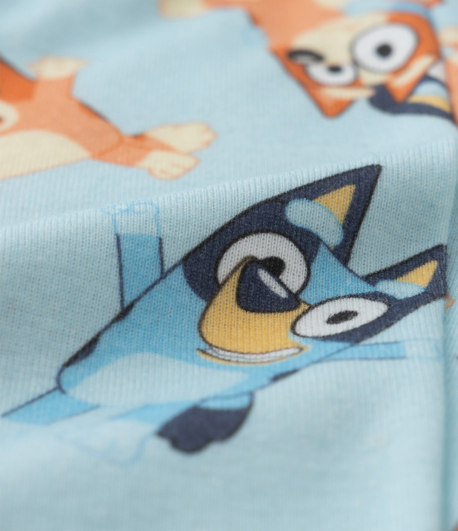 Pijama Infantil Longo em Algodão Estampa Bluey - Tam 2 a 6 anos Cinza/Azul 10