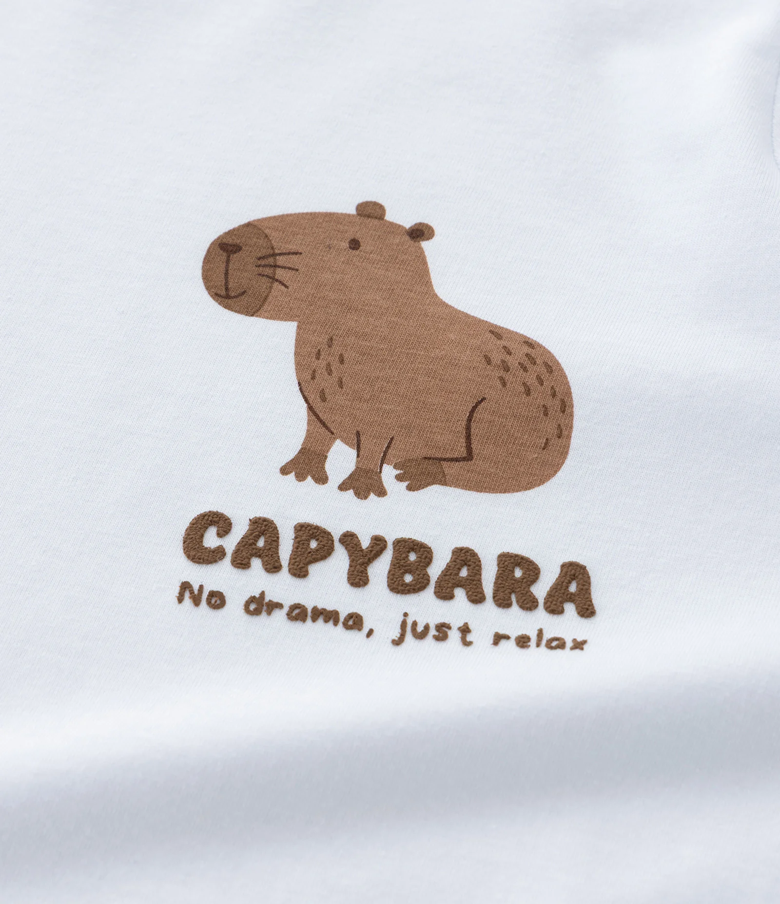 Pijama Infantil com Estampa Capivara - Tam 6 a 14 Anos Branco/Azul 11