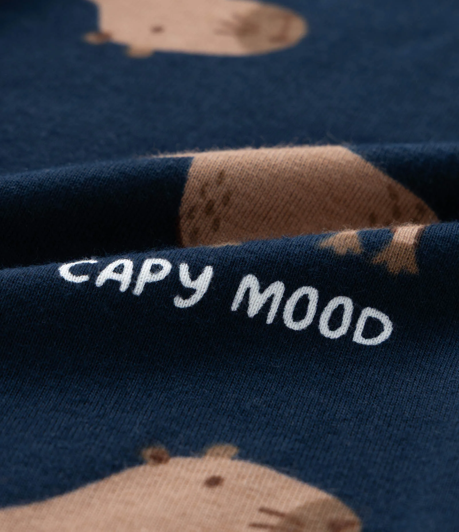 Pijama Infantil com Estampa Capivara - Tam 6 a 14 Anos Branco/Azul 4