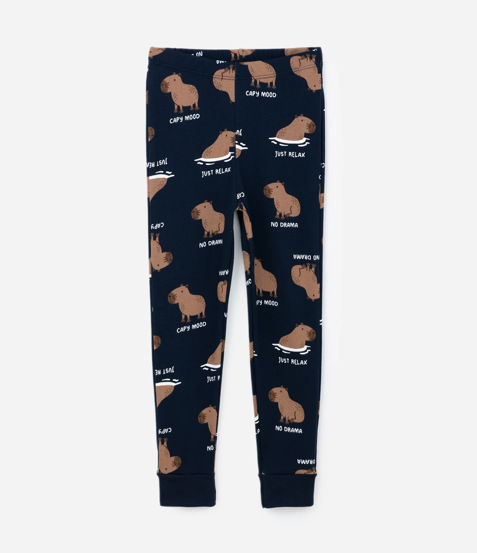 Pijama Infantil com Estampa Capivara - Tam 6 a 14 Anos Branco/Azul 5