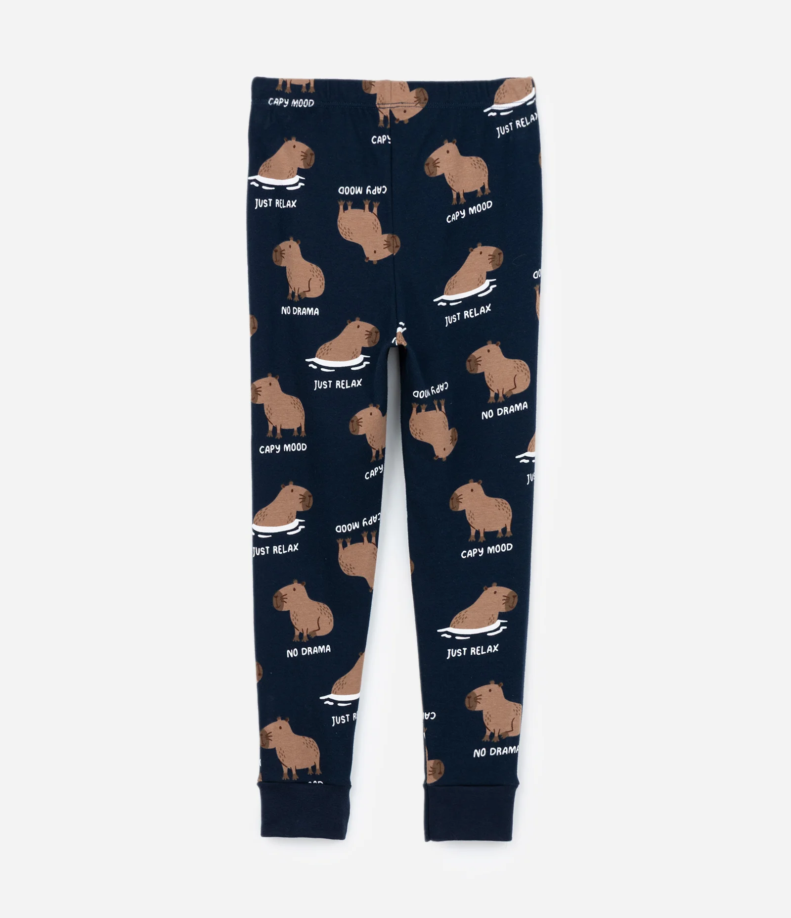 Pijama Infantil com Estampa Capivara - Tam 6 a 14 Anos Branco/Azul 6