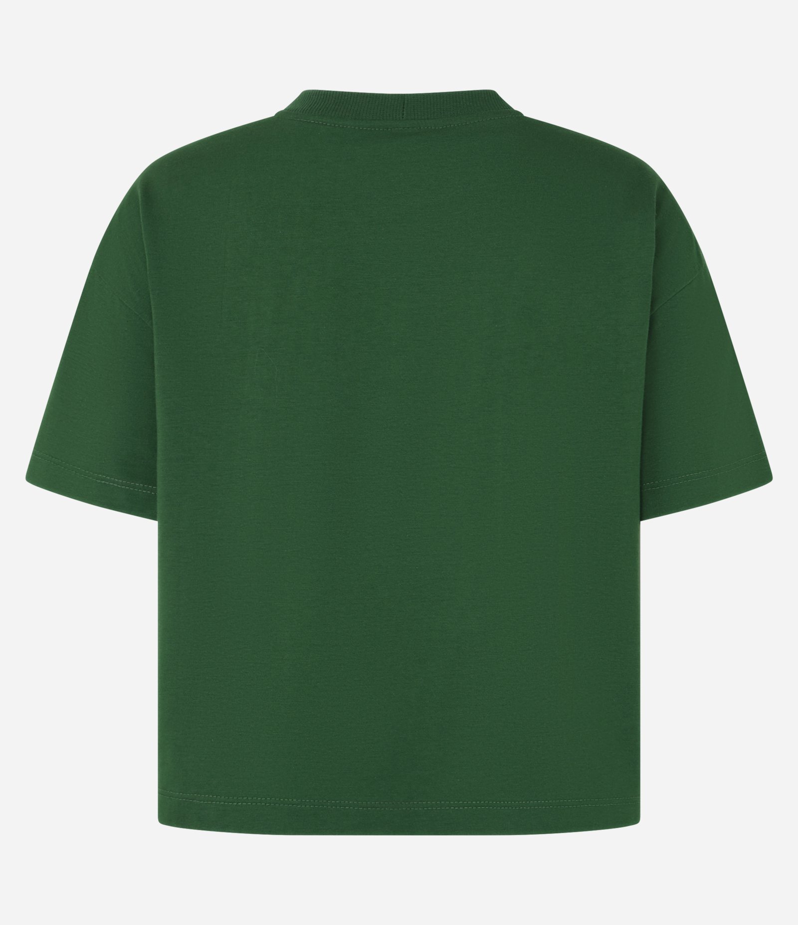 Blusa T-shirt Curta em Algodão com Estampa Tropical Verde 4