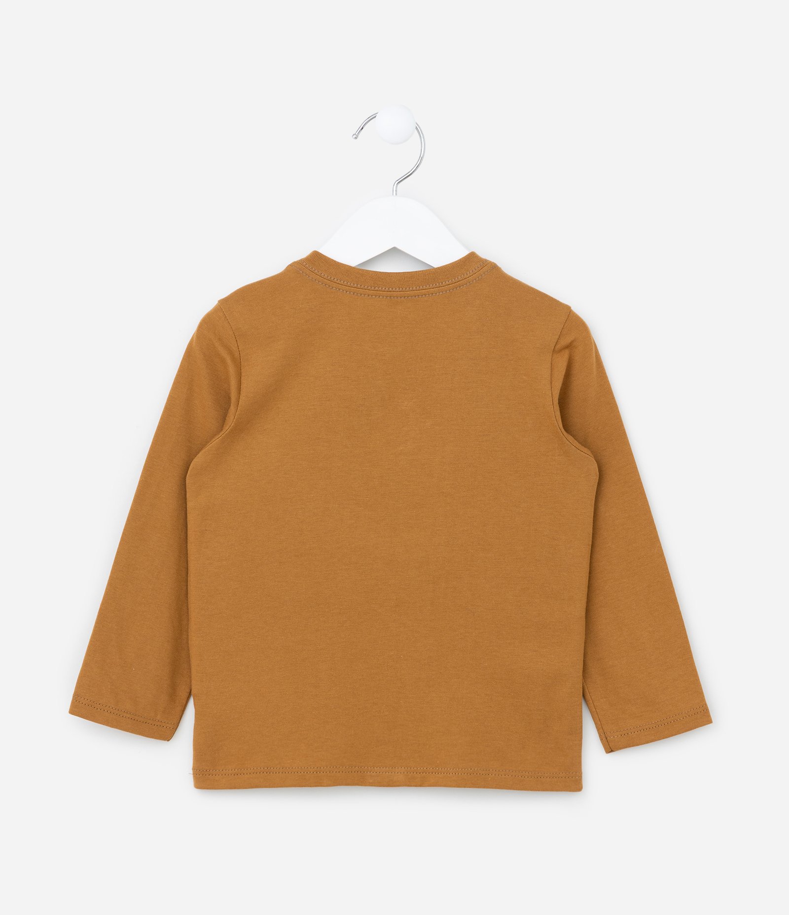 Camiseta Infantil com Estampa Leão 3D - Tam 1 a 6 Anos Marrom 2