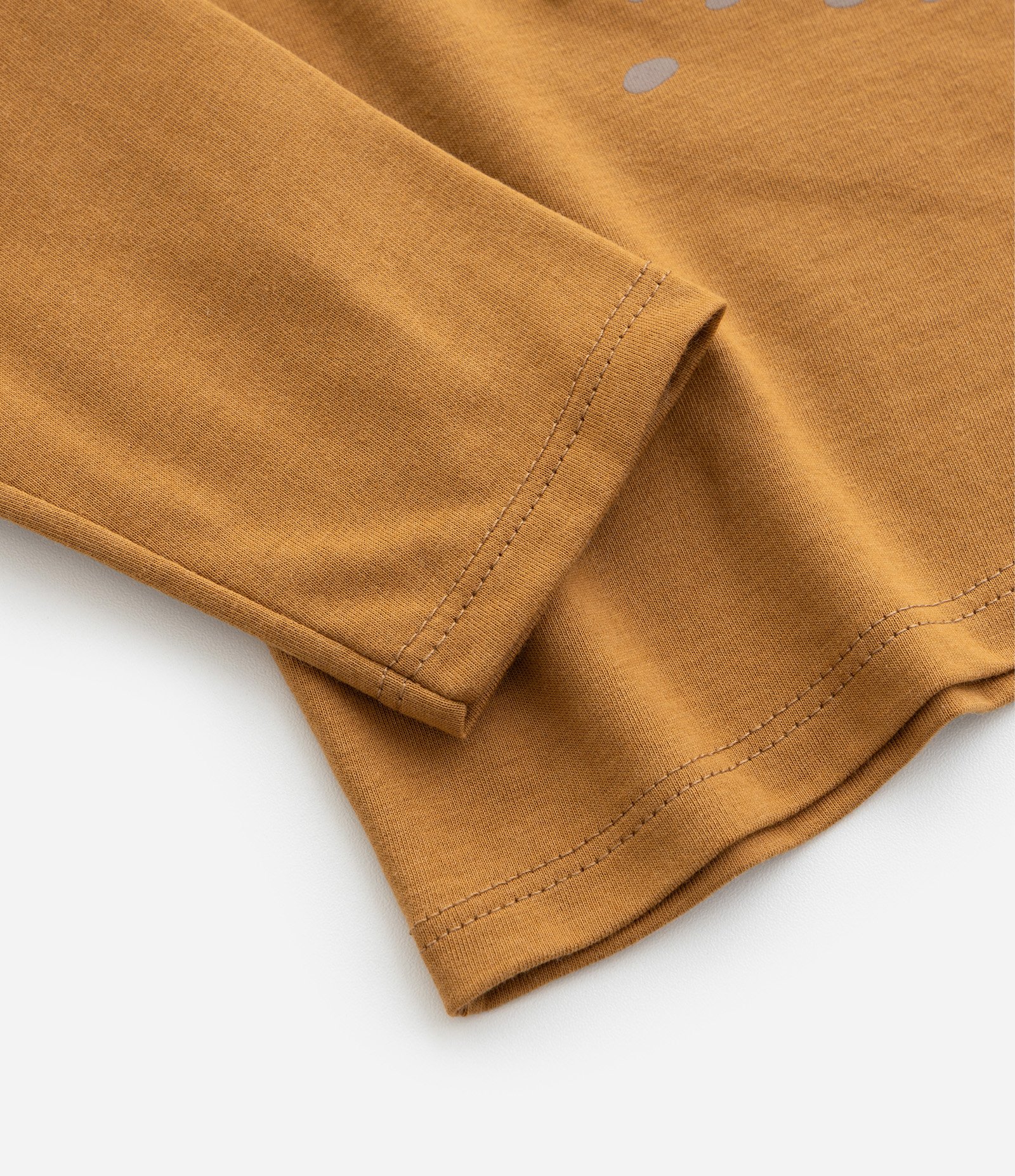 Camiseta Infantil com Estampa Leão 3D - Tam 1 a 6 Anos Marrom 4