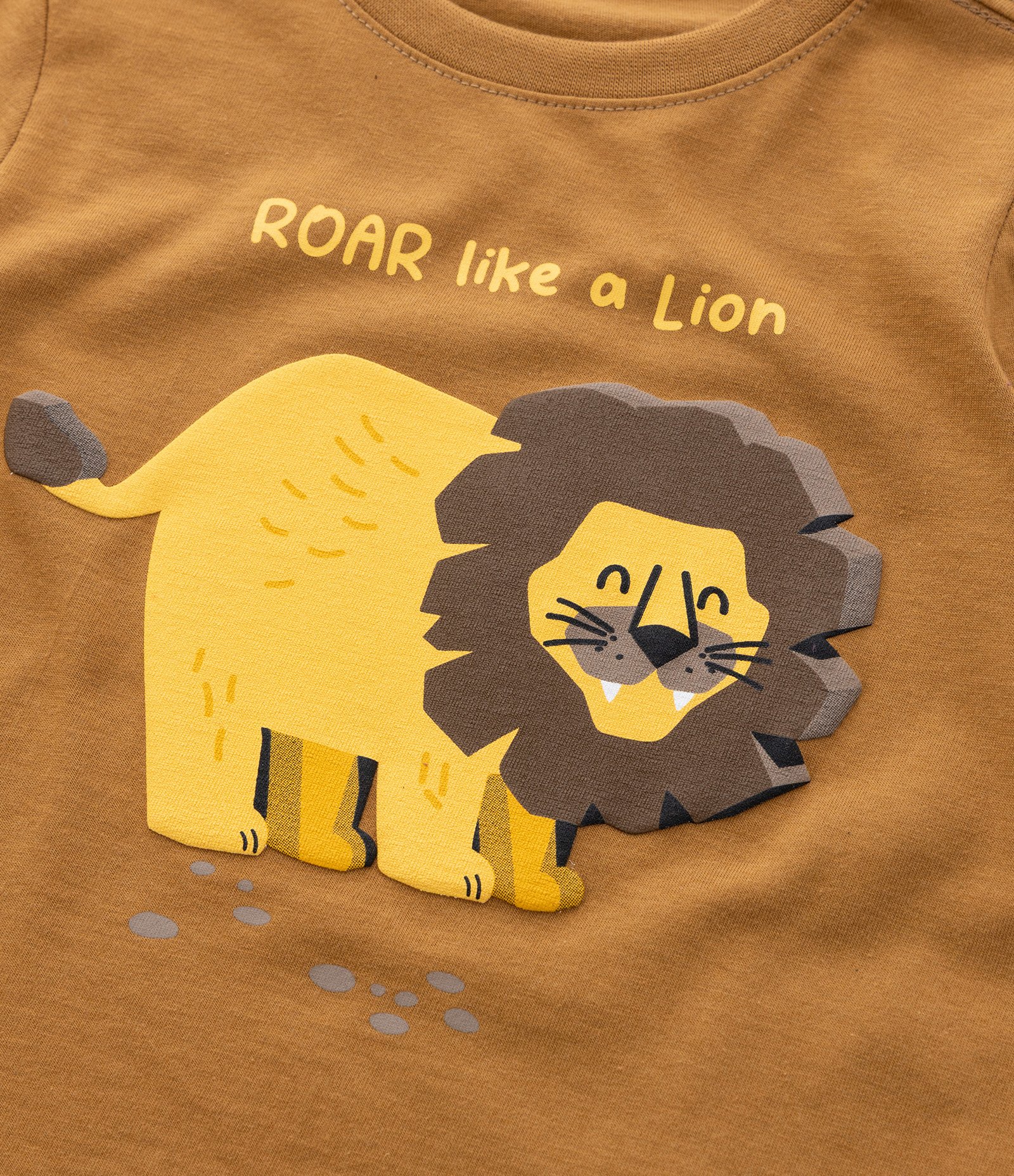 Camiseta Infantil com Estampa Leão 3D - Tam 1 a 6 Anos Marrom 5