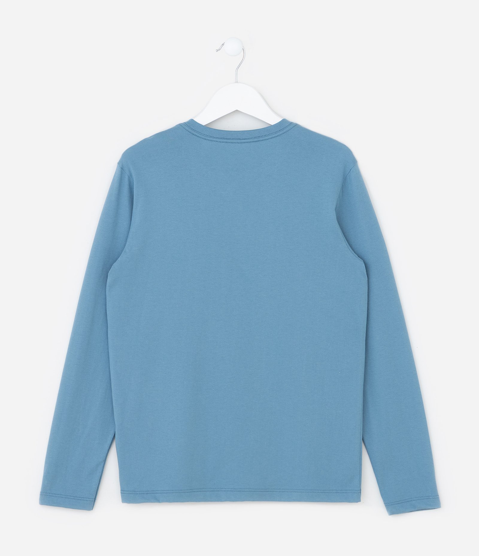 Camiseta Infantil com Estampa Capivara Aventureira - Tam 5 a 14 Anos Azul 2