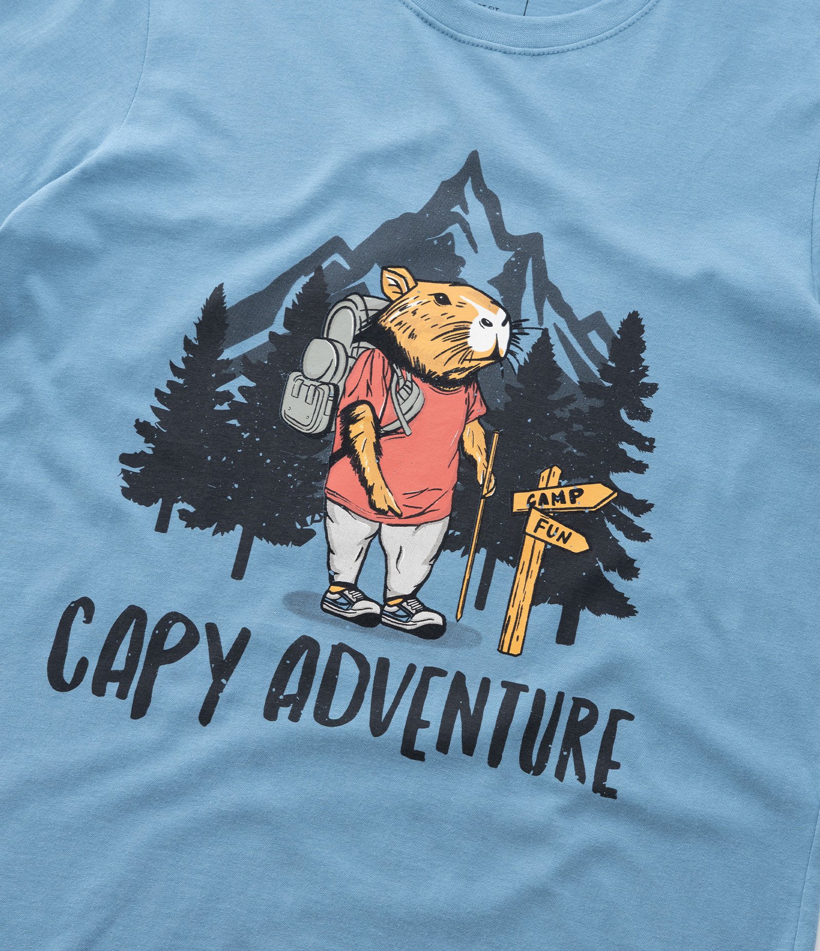 Camiseta Infantil com Estampa Capivara Aventureira - Tam 5 a 14 Anos Azul 4