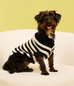 Roupa para Pet com Estampa Listrada Bicolor