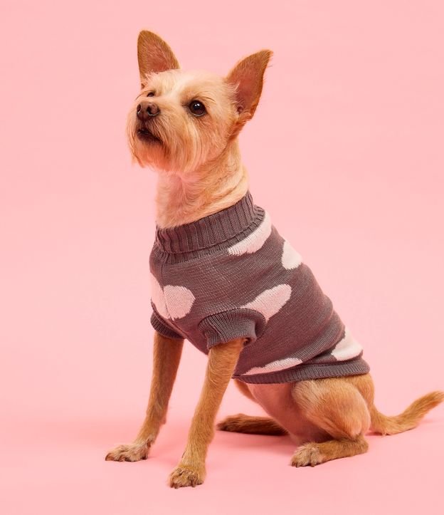 Roupa para Pet com Estampa de Nuvens Bicolor