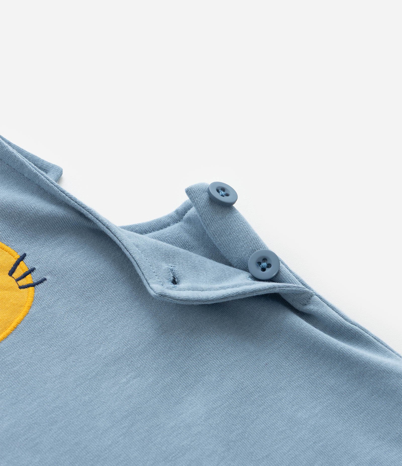 Conjunto Infantil em Moletom com Estampa de Tigre - Tam 0 a 18 Meses Azul 9