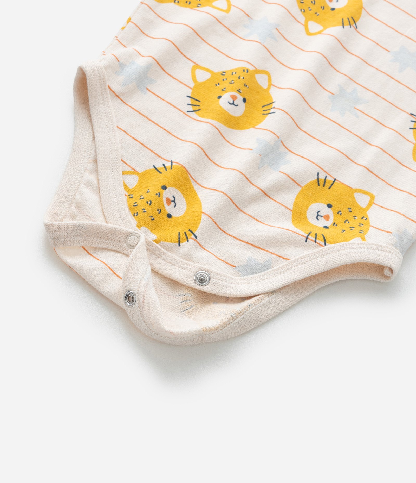 Conjunto Infantil em Moletom com Estampa de Tigre - Tam 0 a 18 Meses Azul 6