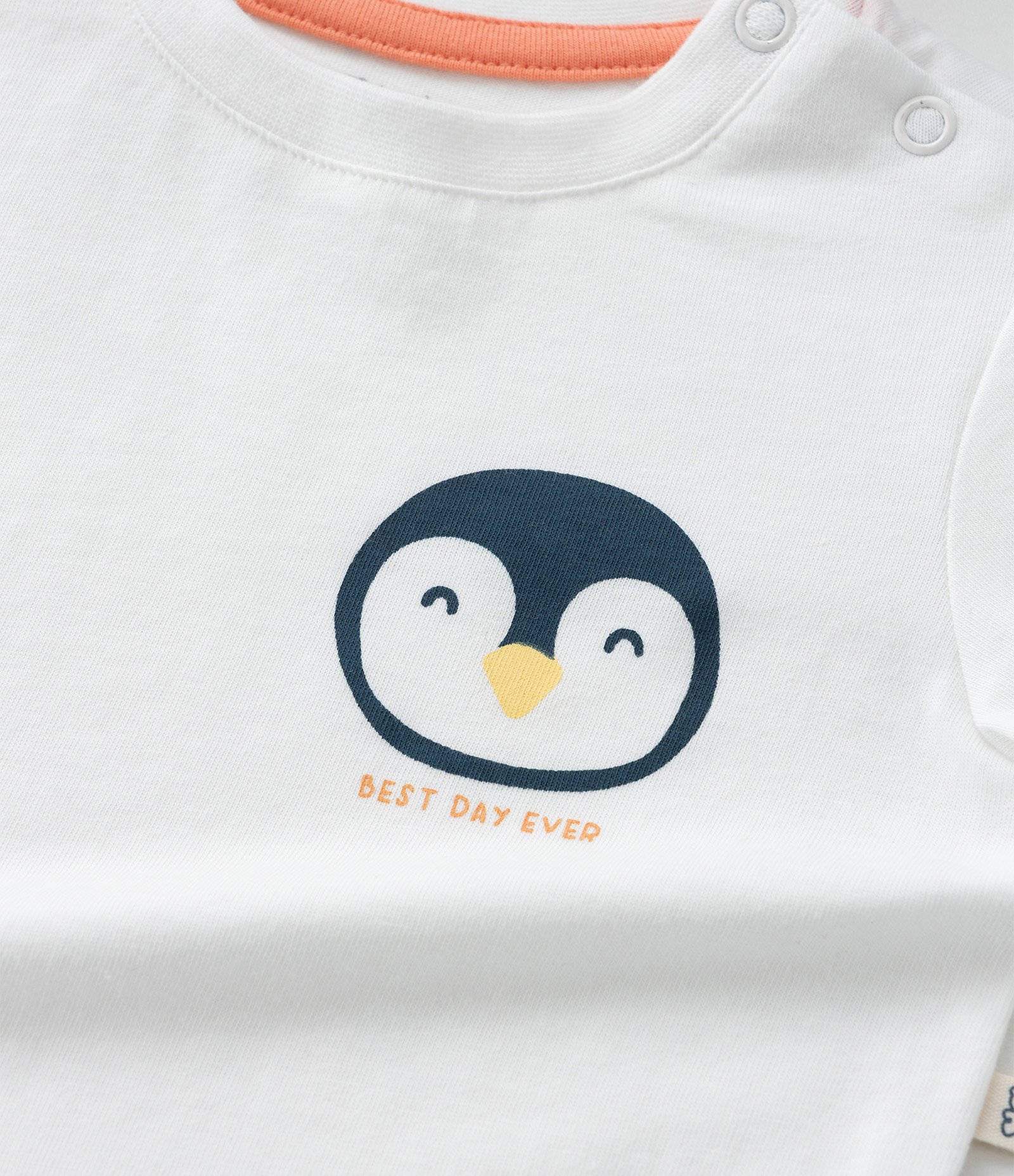 Conjunto Infantil em Microfibra com Estampa de Pinguim - Tam 0 a 18 Meses Branco/Azul 9