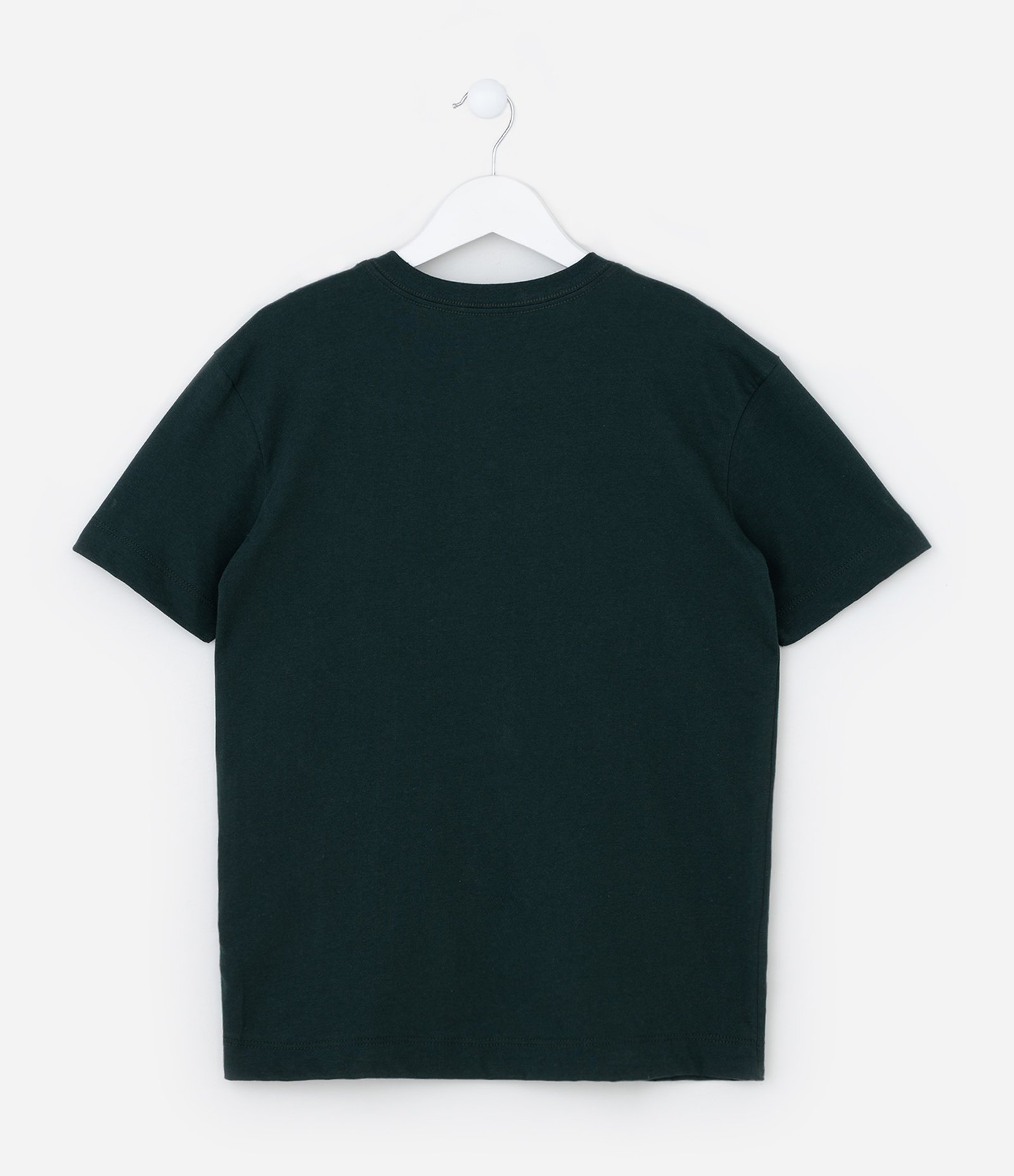 Camiseta Infantil com Lettering Relevo Paradox - Tam 5 a 14 Anos Verde 2