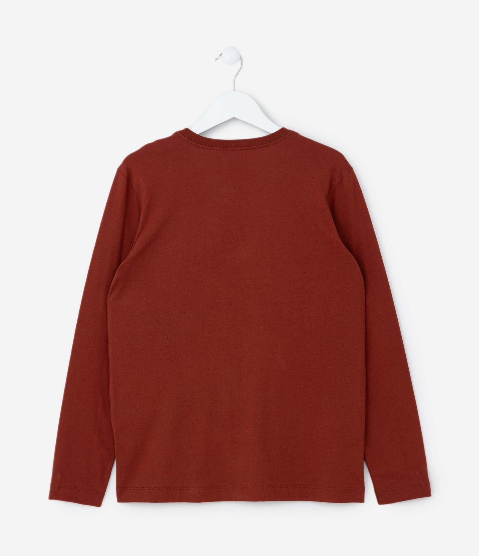 Camiseta Infantil com Estampa Paisagem de Cactos - Tam 5 a 14 Anos Vermelho 2