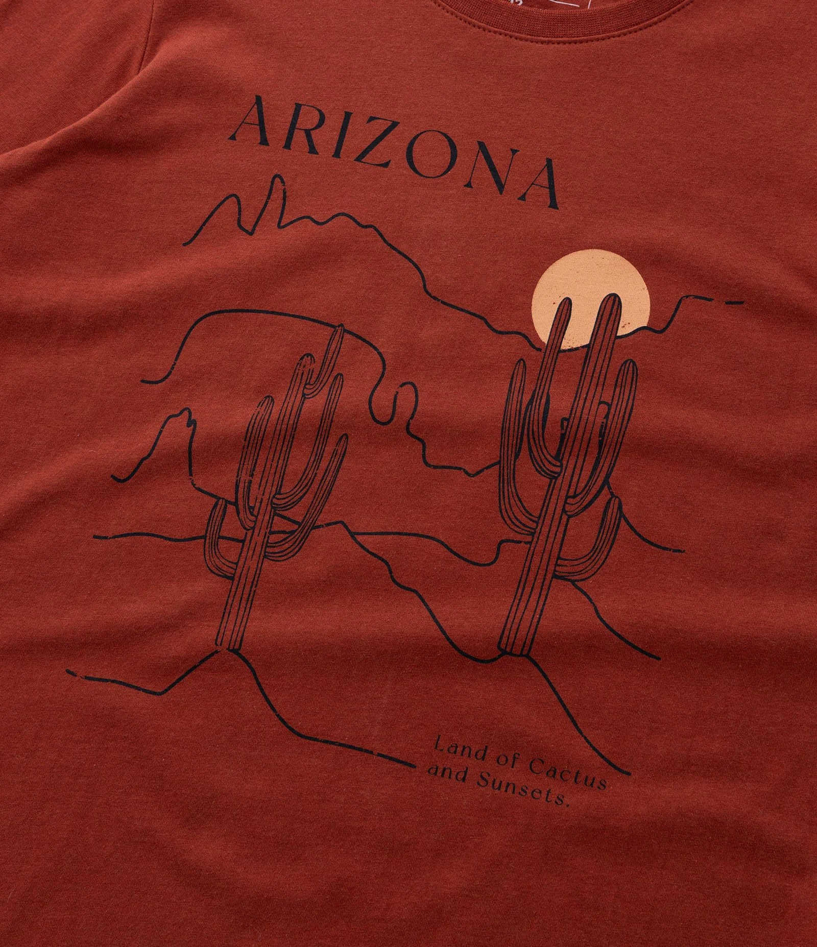 Camiseta Infantil com Estampa Paisagem de Cactos - Tam 5 a 14 Anos Vermelho 4