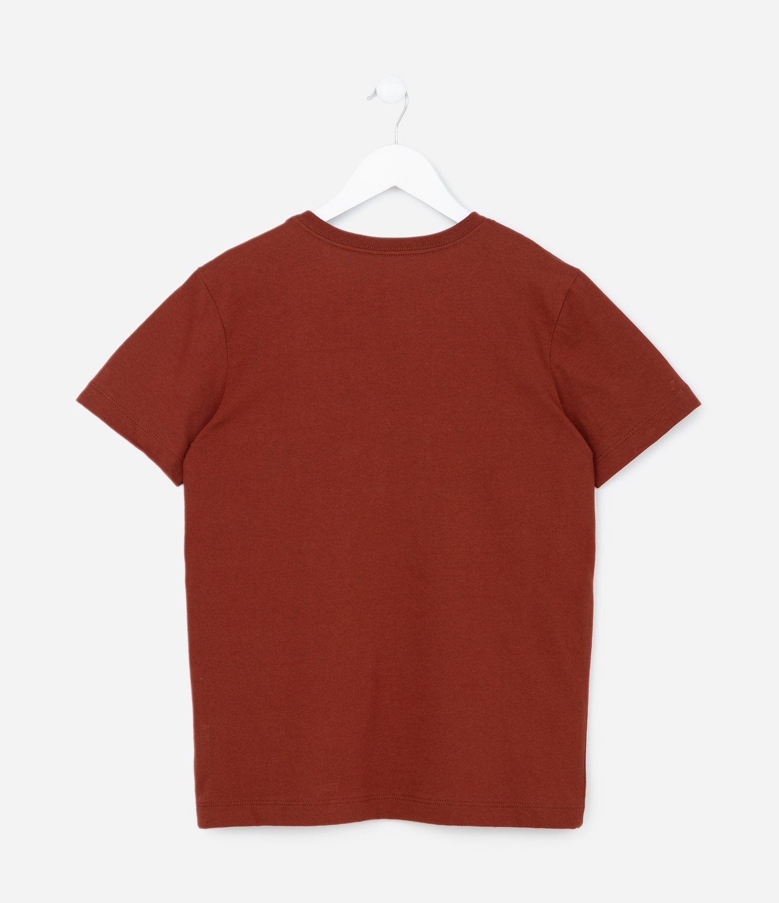 Camiseta Infantil com Estampa Paisagem de Cactos - Tam 5 a 14 Anos Vermelho 2