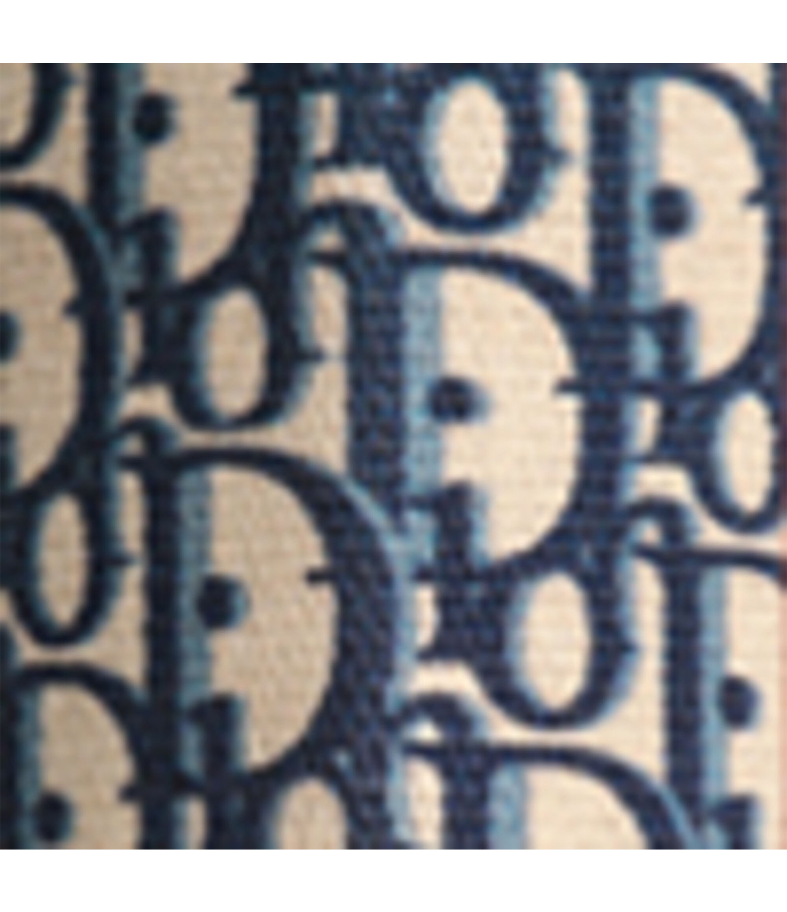 Dior Addict Lipstick Fashion Case Dior Dior Oblique 2