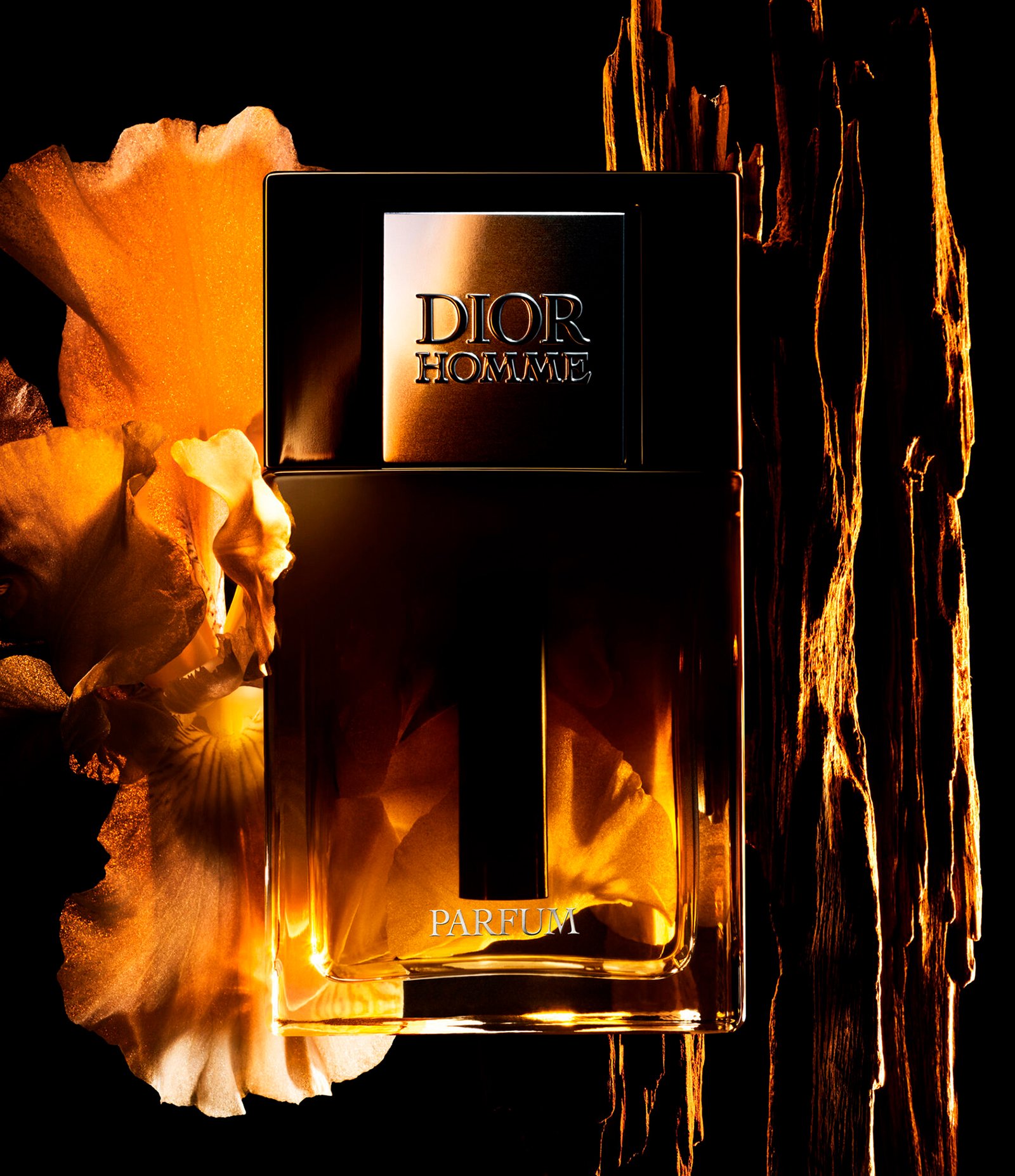 香水(男性用) DIOR HOMME PARFUM 50ml Dior Homme Parfum: perfume ambarado, amadeirado e floral