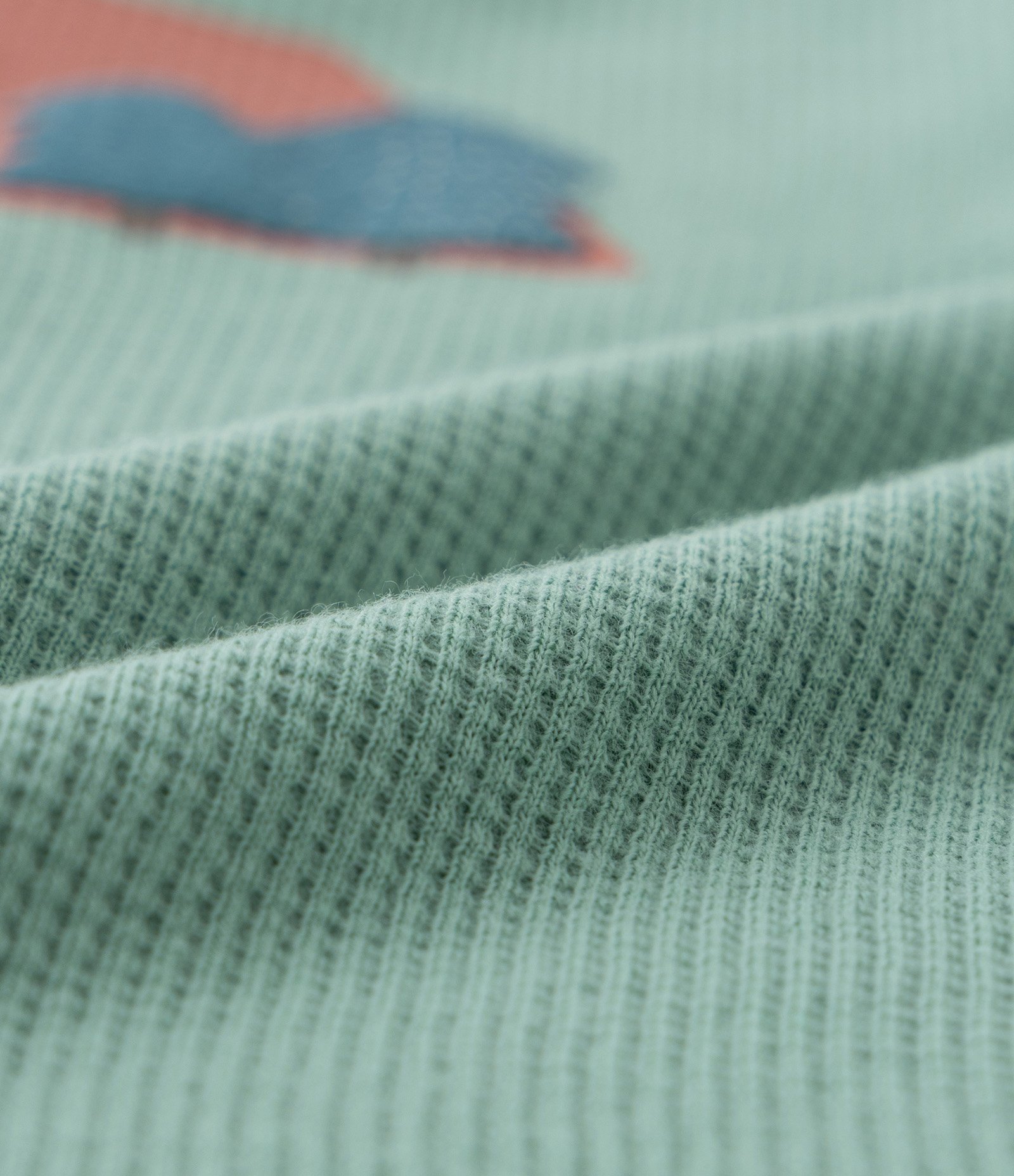 Macacão Infantil com Estampa Frente e Costas Urso no Camping - Tam 0 a 24 meses Verde 3