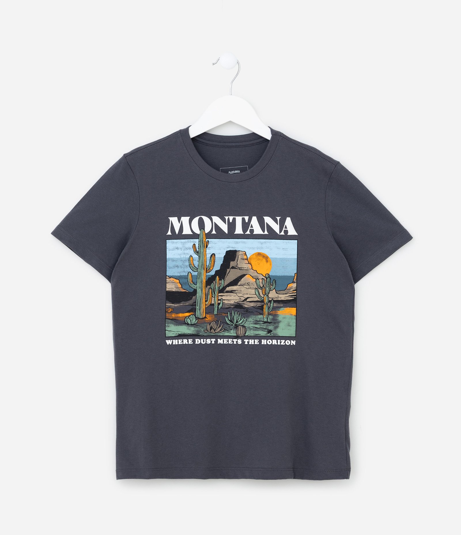 Camiseta Infantil com Lettering Montana - Tam 5 a 14 Anos Cinza 1