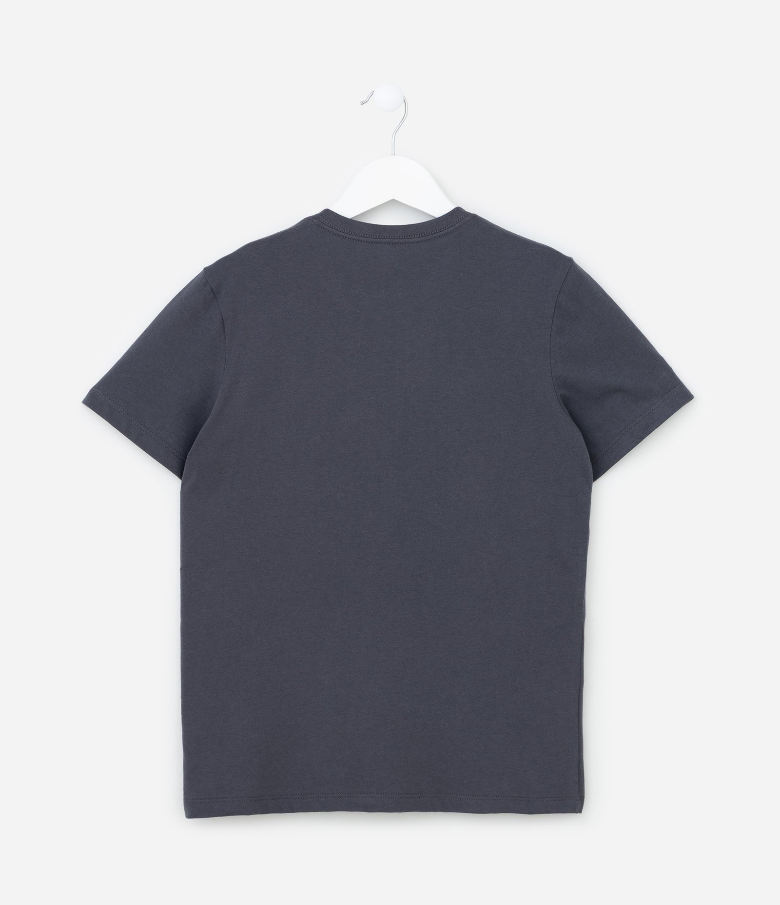 Camiseta Infantil com Lettering Montana - Tam 5 a 14 Anos Cinza 2