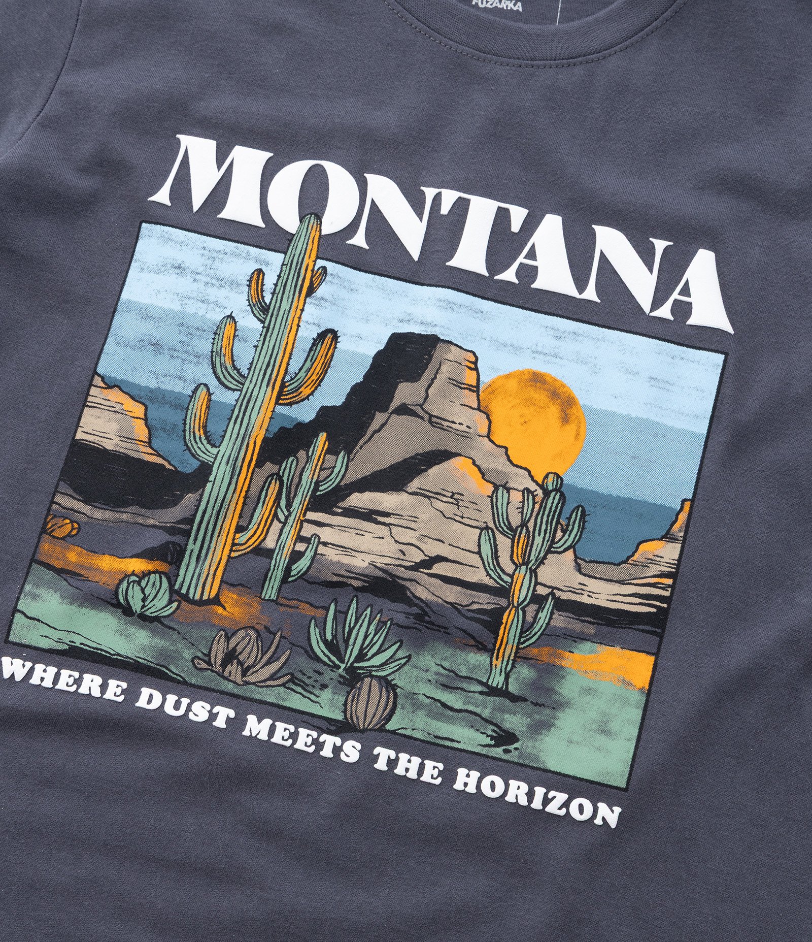 Camiseta Infantil com Lettering Montana - Tam 5 a 14 Anos Cinza 4