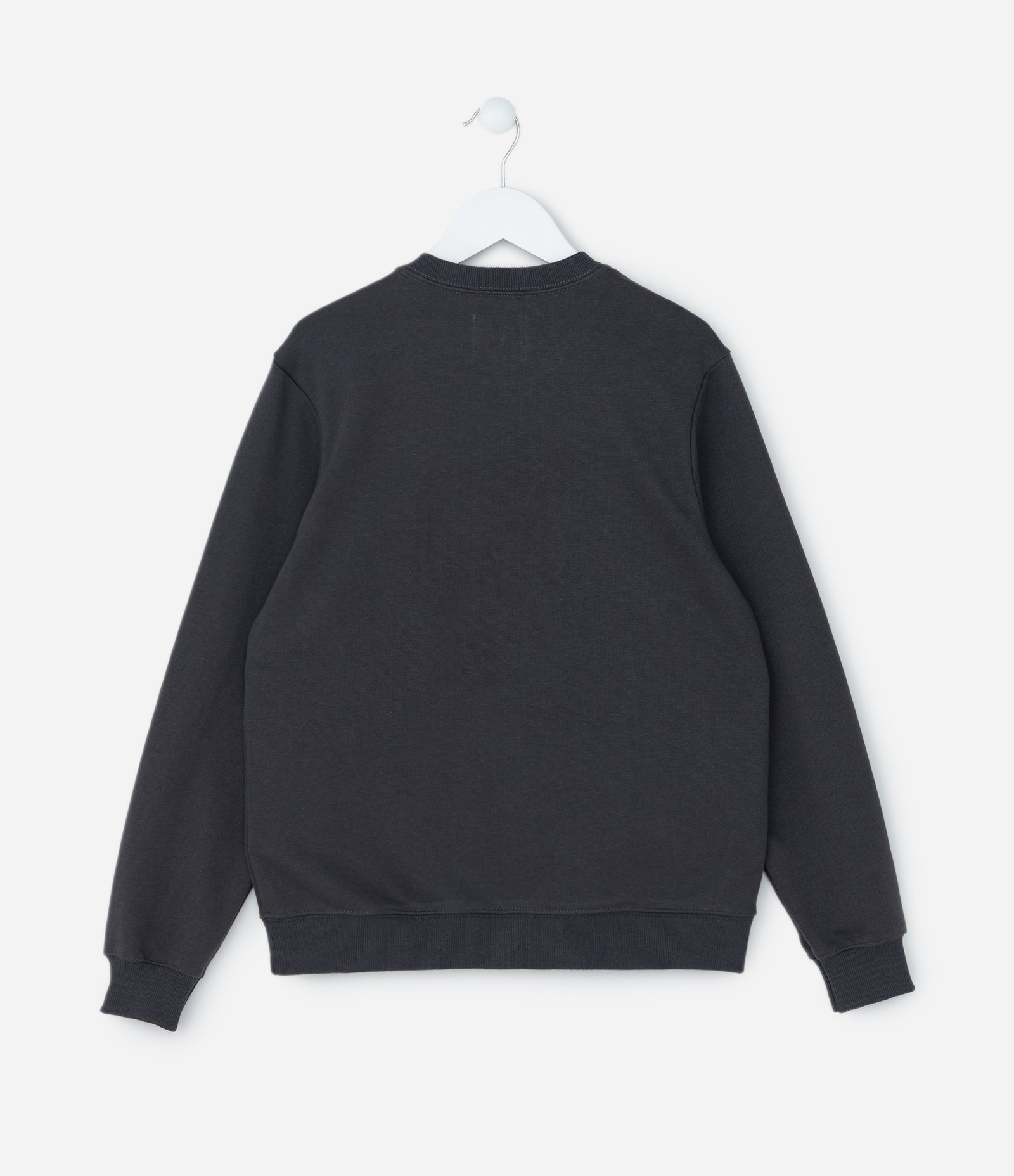 Casaco Infantil com Estampa Capivara Skatista - Tam 5 a 14 Anos Cinza Escuro 2