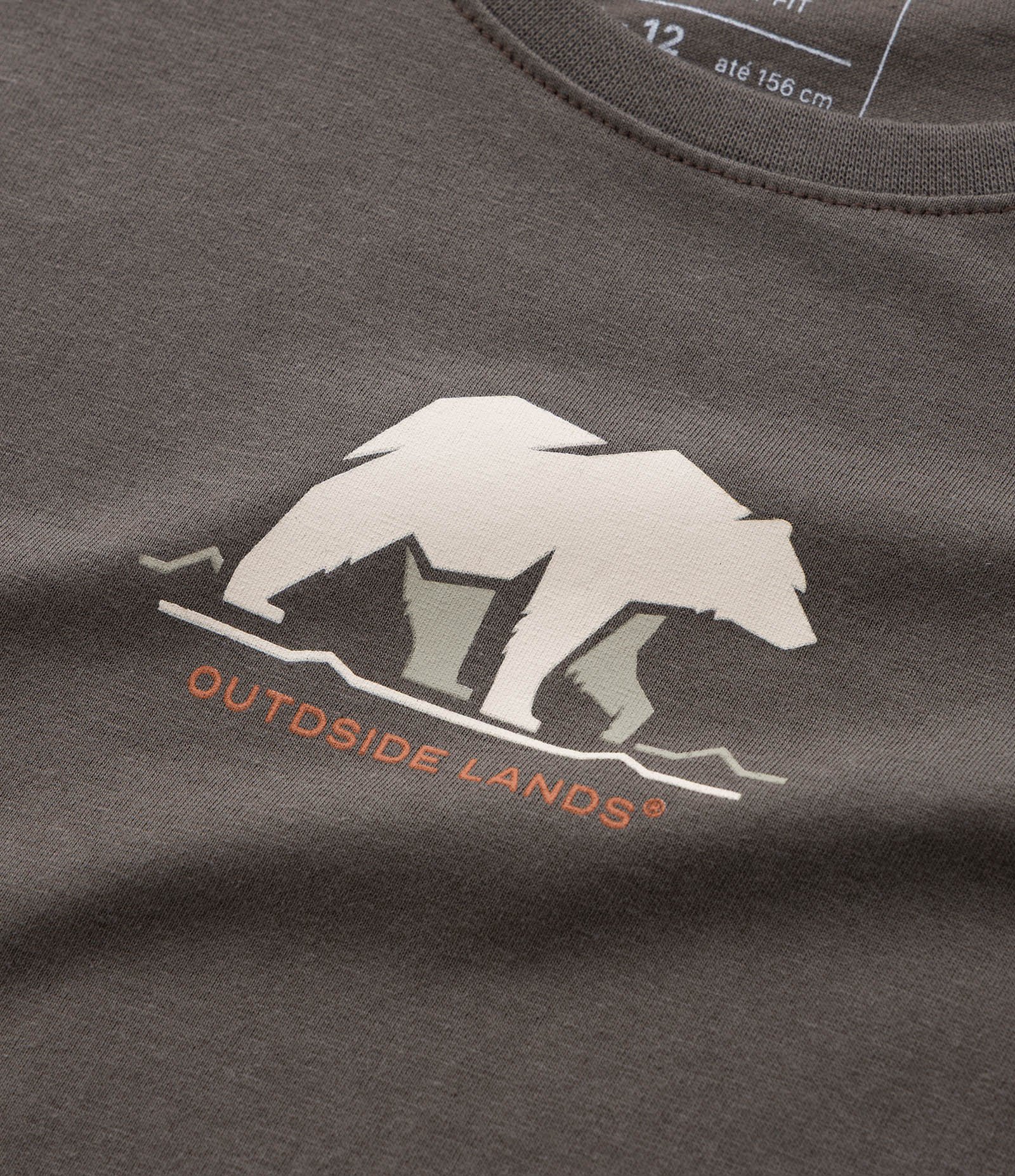 Camiseta Infantil com Estampa Urso - Tam 5 a 14 Anos Verde 5