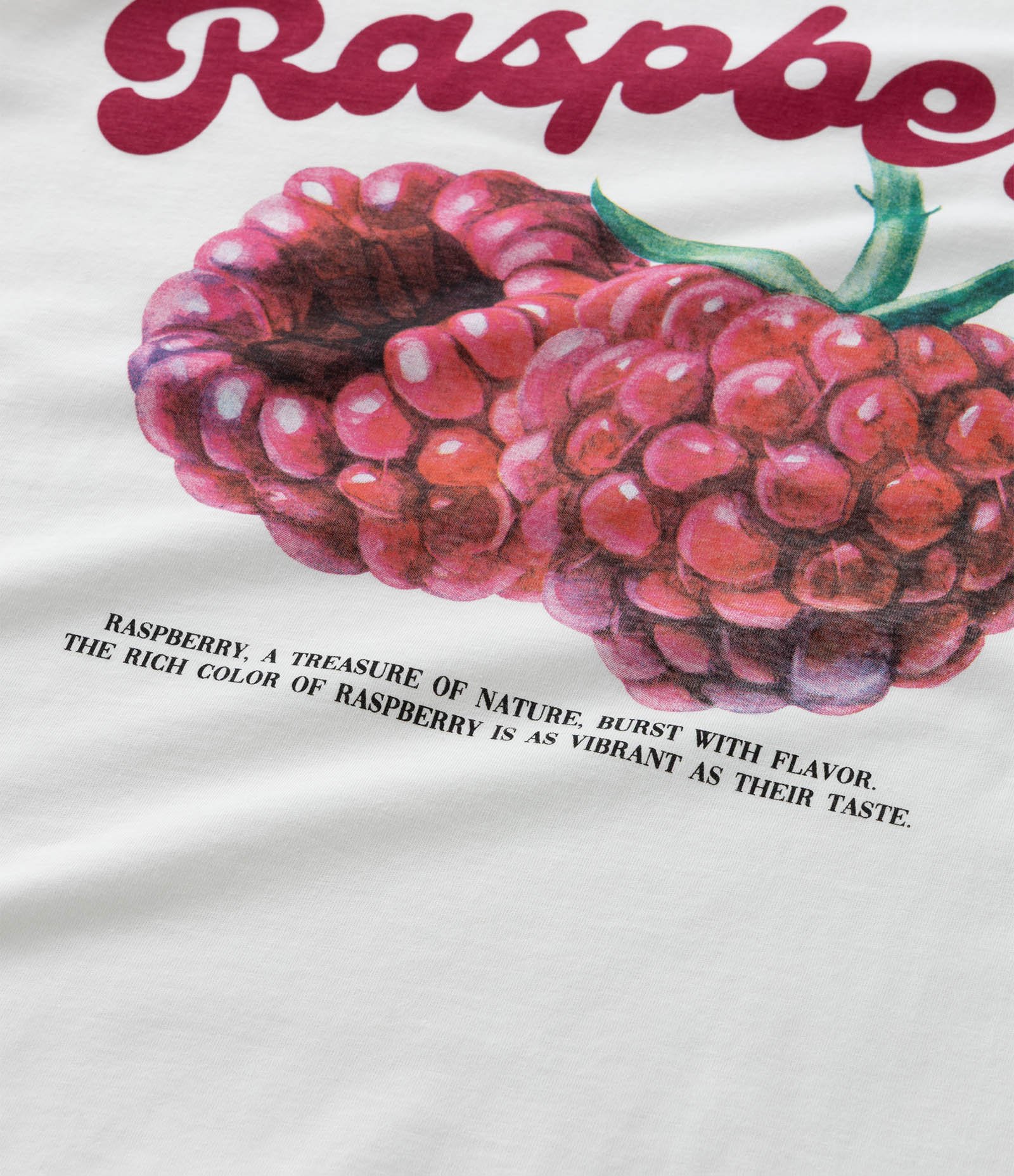 Camiseta em Algodão com Estampa de Framboesa Curve & Plus Size Branco 7