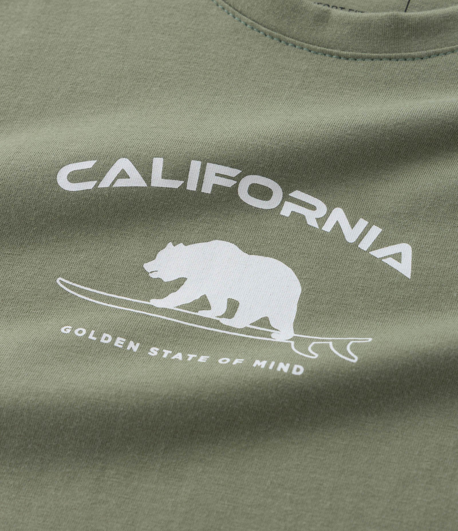 Camiseta Infantil com Estampa Urso California - Tam 5 a 14 Anos Verde 4