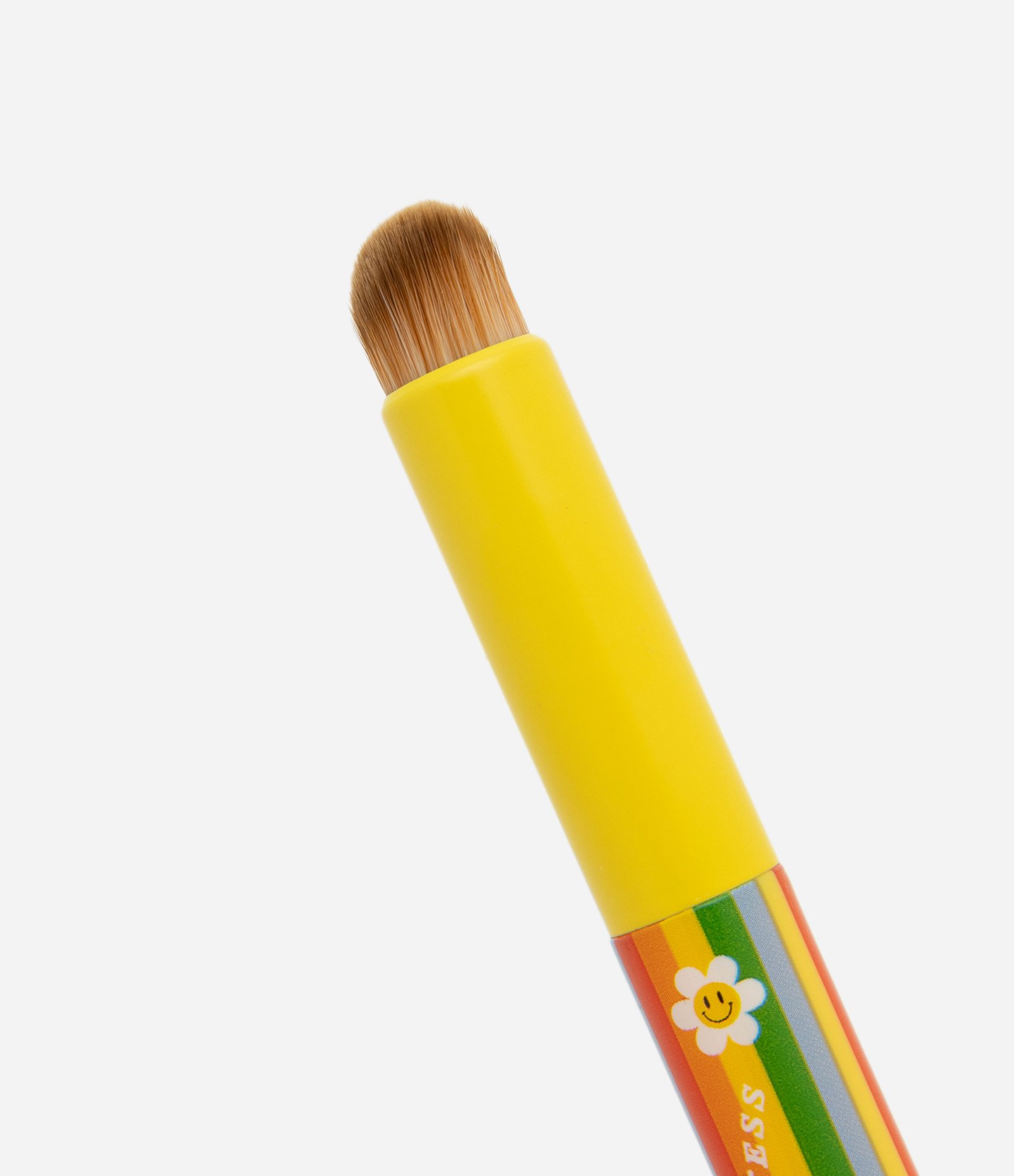 Conjunto de Esponjas e Pincéis Happy Alchemia Multicores 5