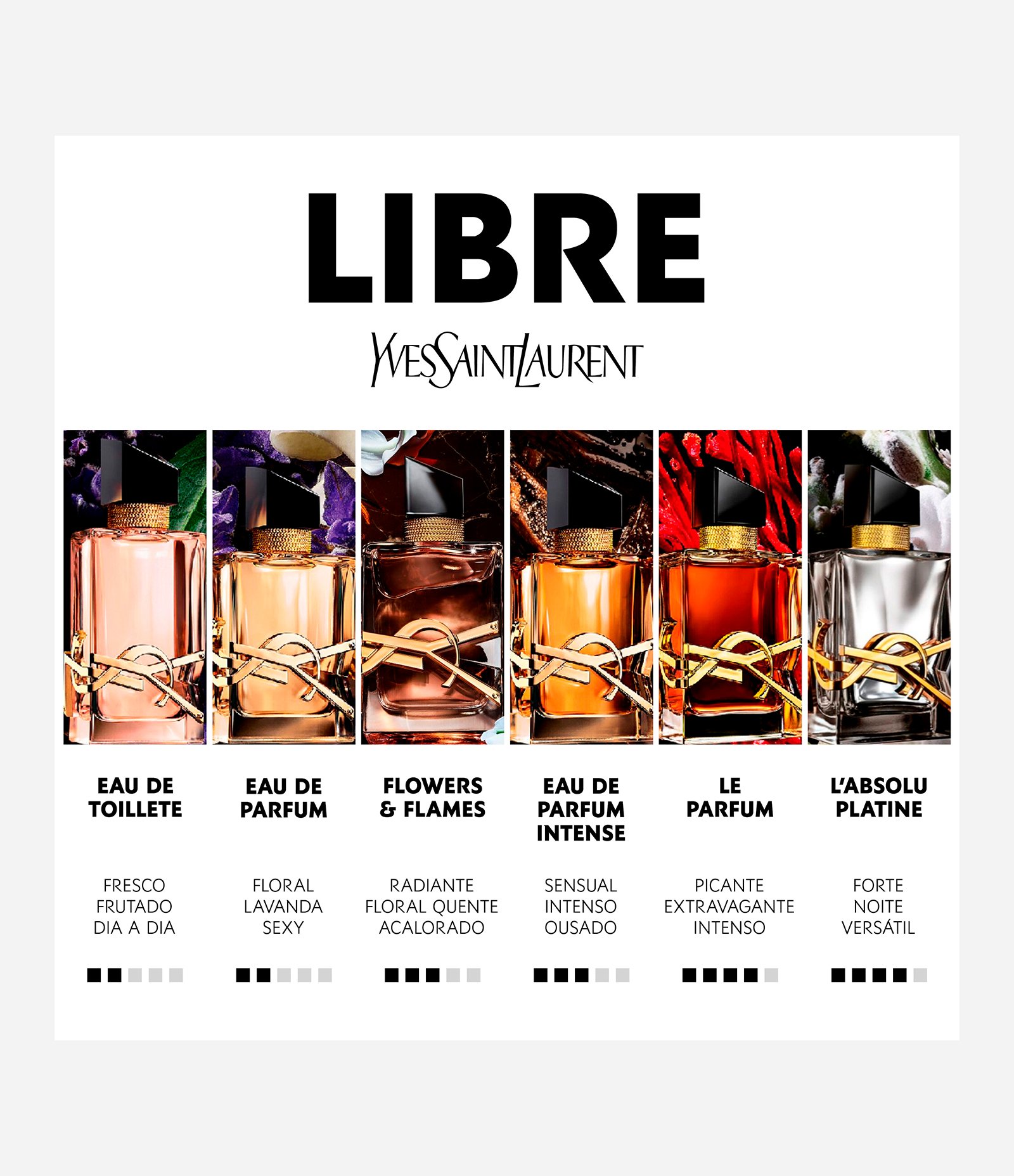 Perfume Yves Saint Laurent Libre Eau de Parfum Florale  30ml 7