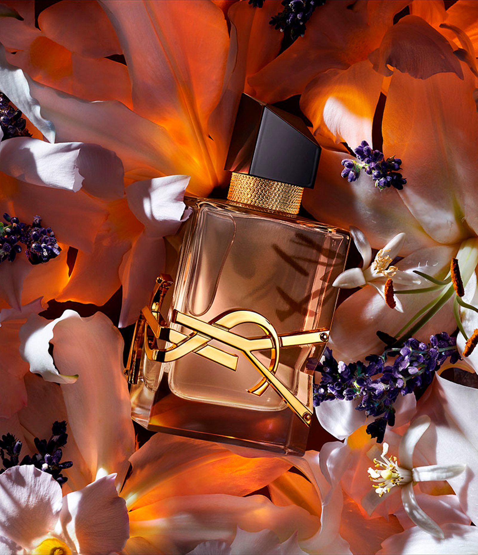 Perfume Yves Saint Laurent Libre Eau de Parfum Florale  50ml 3