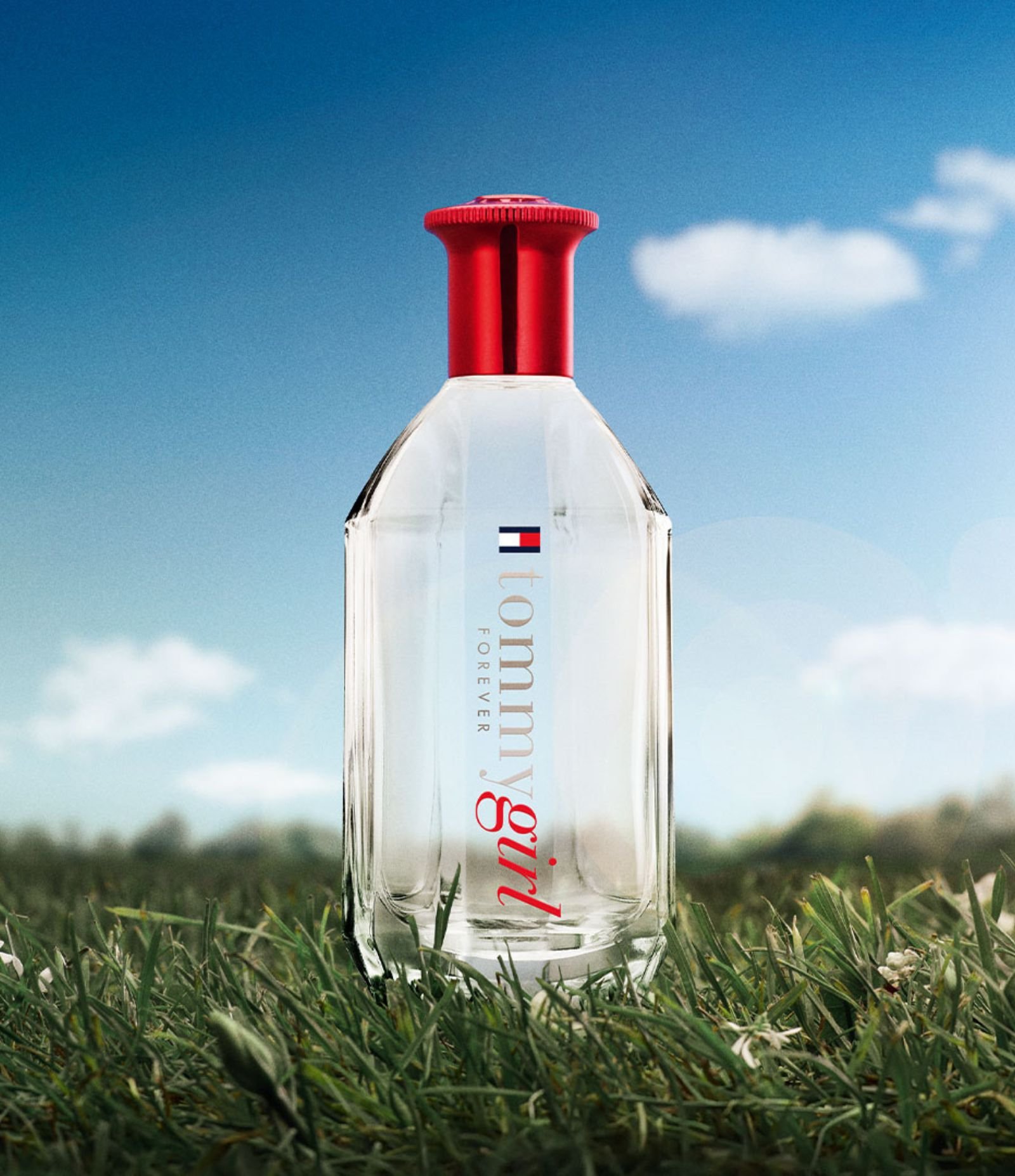 Perfume Tommy Hilfiger Tommy Forever Eau de Toilette Feminino  100ml 3