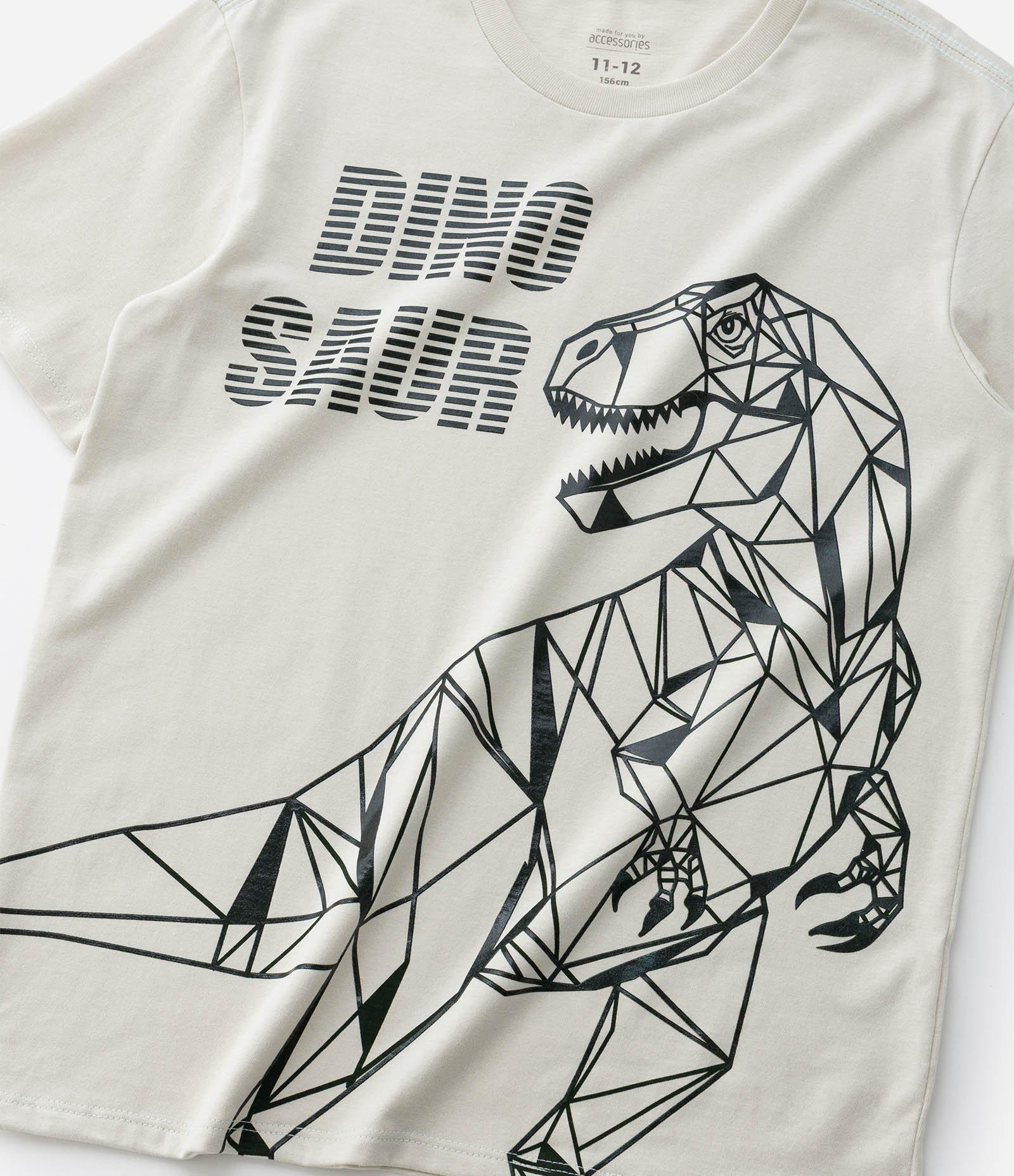 Pijama Curto Infantil com Estampa Dinossauro - Tam 5 a 14 Anos Verde 9